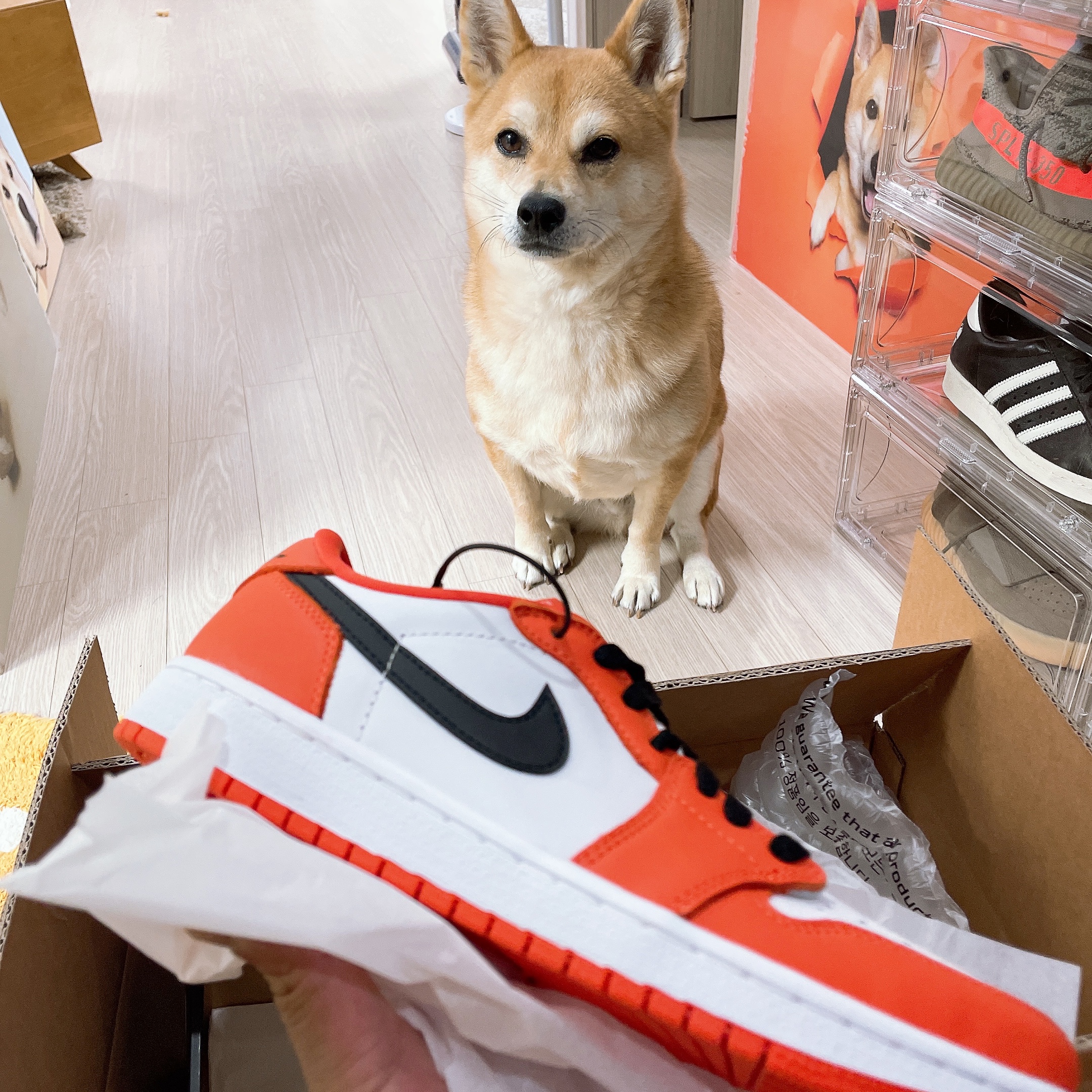 Jordan 1 Low OG Starfish 착용 스타일 - 2