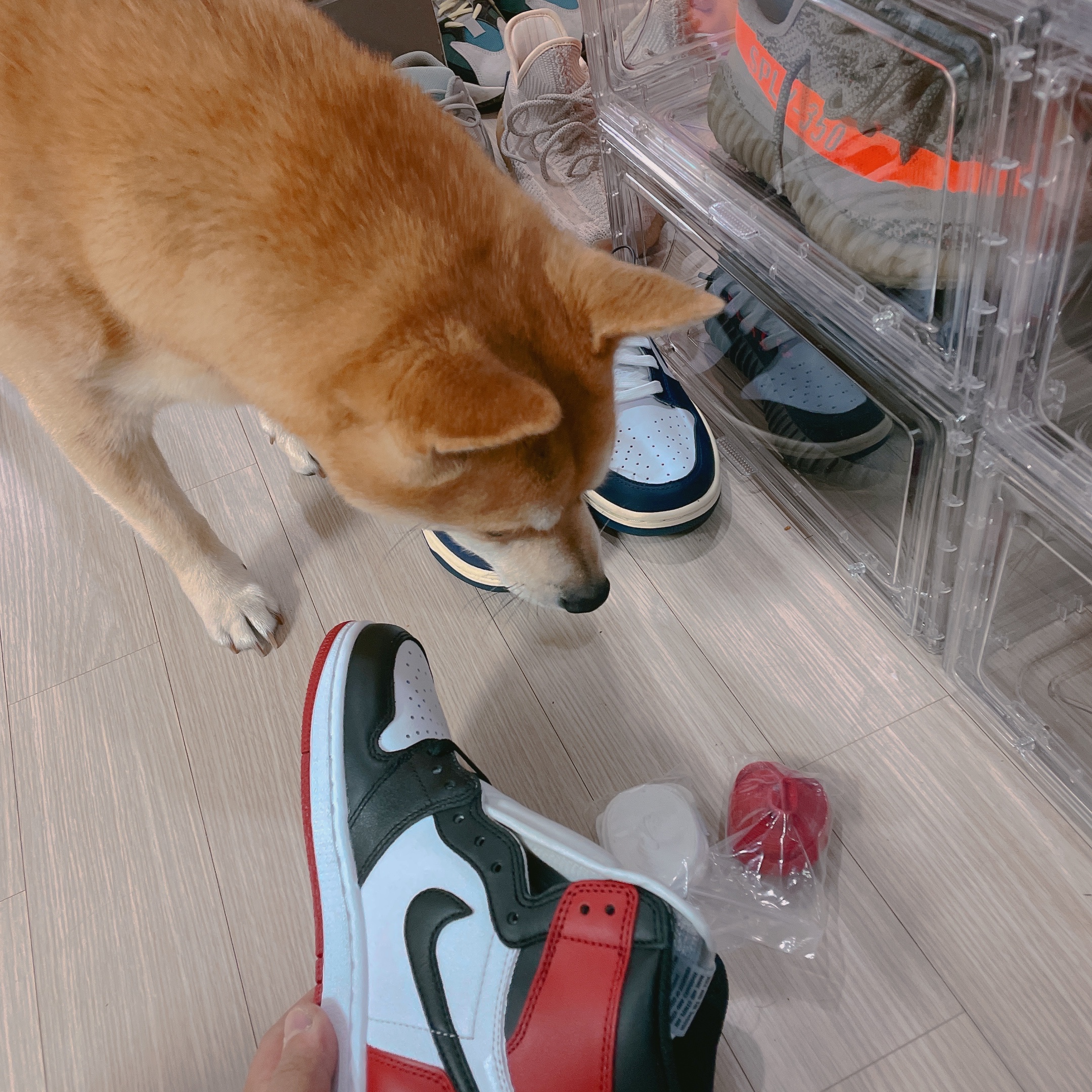 Jordan 1 Retro High OG Black Toe 2016 착용 스타일 - 2