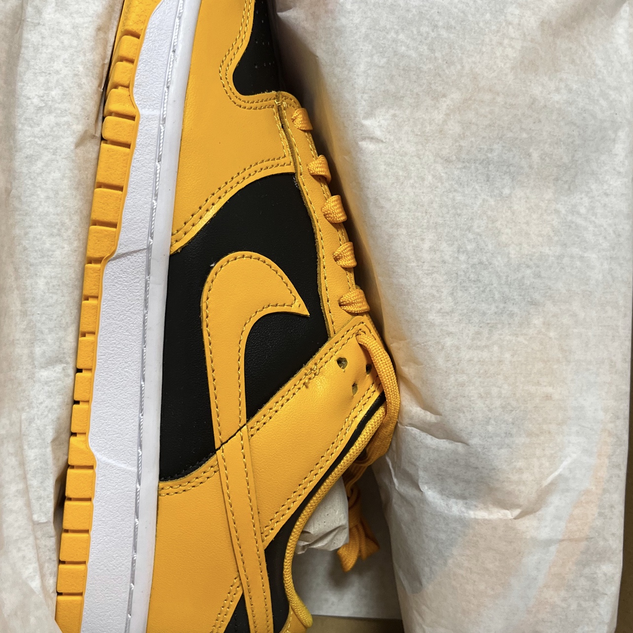Nike Dunk Low Retro Championship Goldenrod 착용 스타일