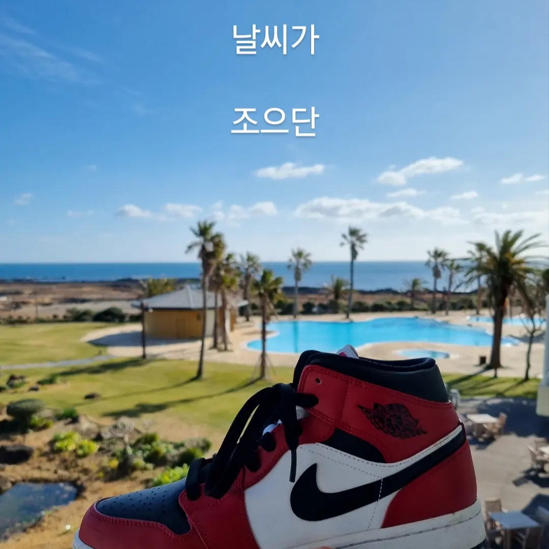 Jordan 11 Retro Low Concord Bred, (W) Nike Dunk Low Black 착용 스타일 - 2