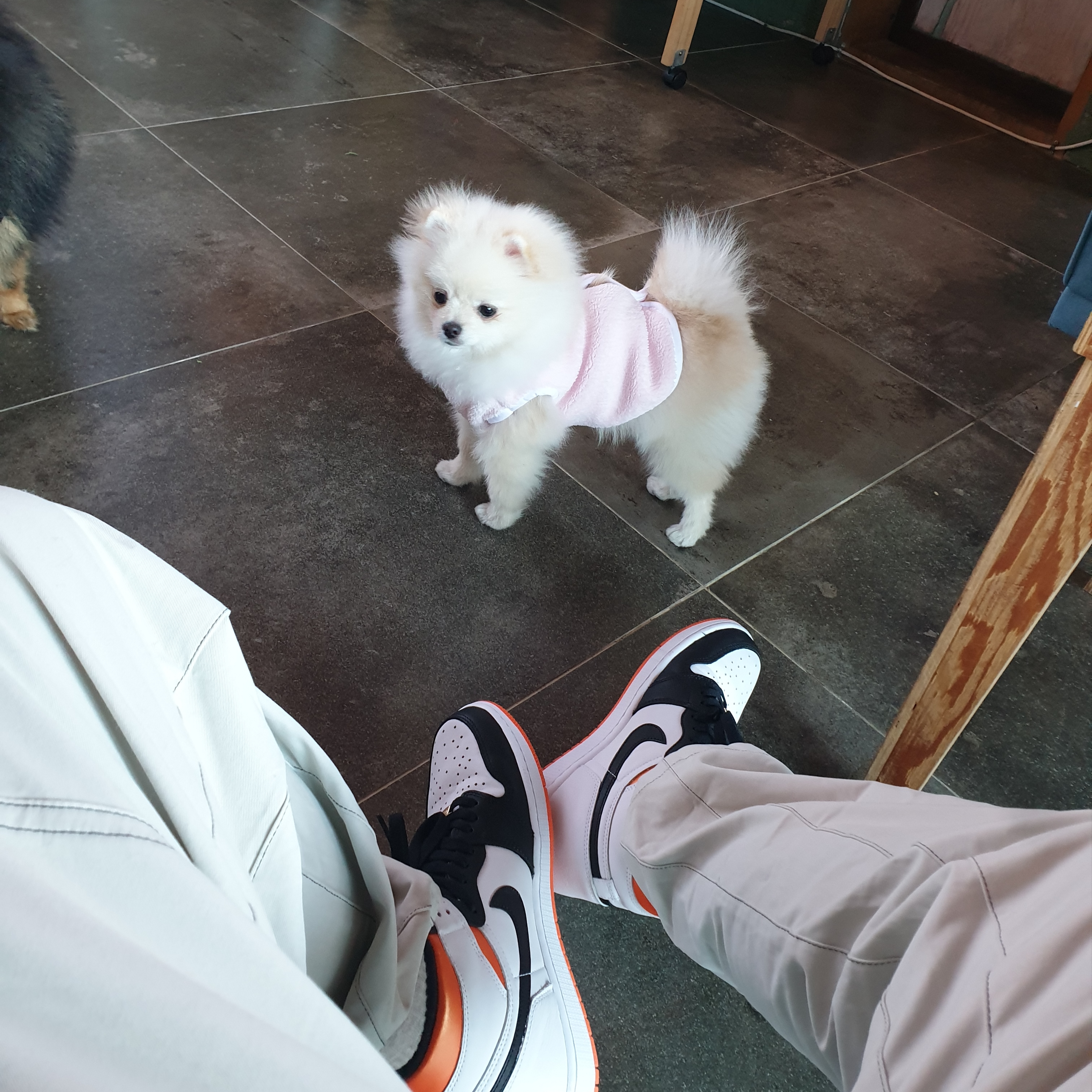 Jordan 1 Retro High OG Electro Orange 착용 스타일