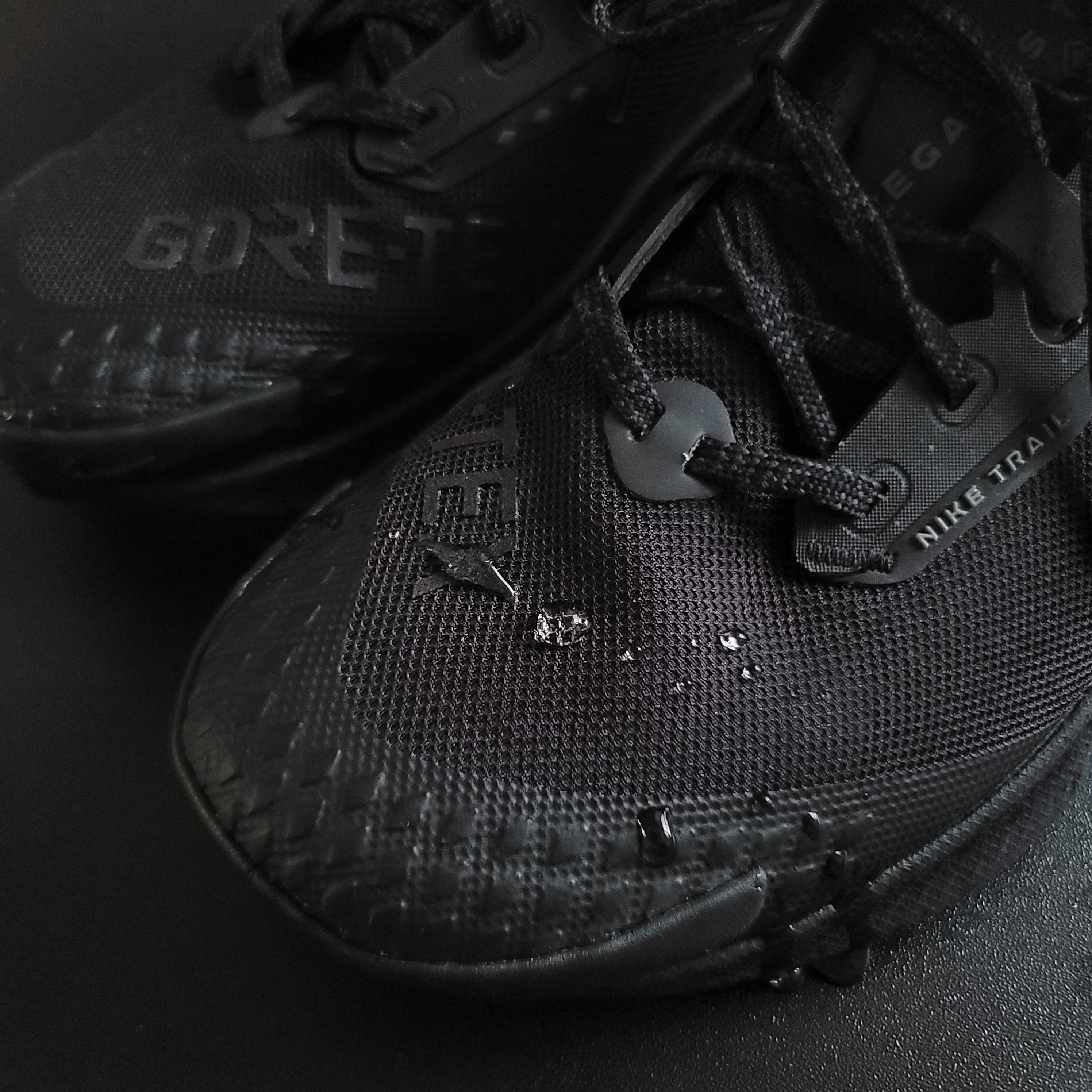 Nike Pegasus Trail 3 Gore-Tex Black Dark Smoke Grey, (W) Nike Pegasus Trail 3 Gore-Tex Black Dark Smoke Grey 착용 스타일 - 1
