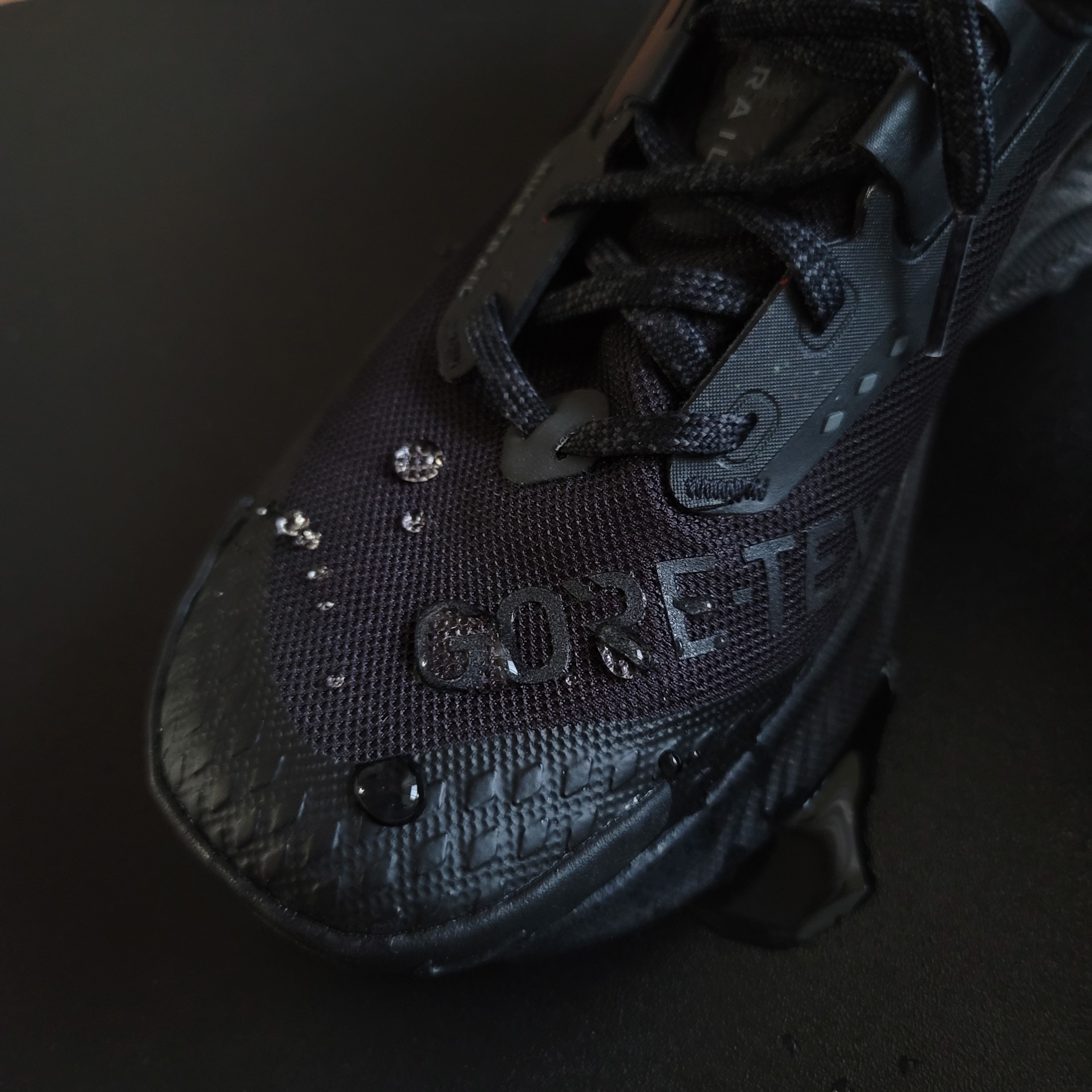 Nike Pegasus Trail 3 Gore-Tex Black Dark Smoke Grey, (W) Nike Pegasus Trail 3 Gore-Tex Black Dark Smoke Grey 착용 스타일 - 2