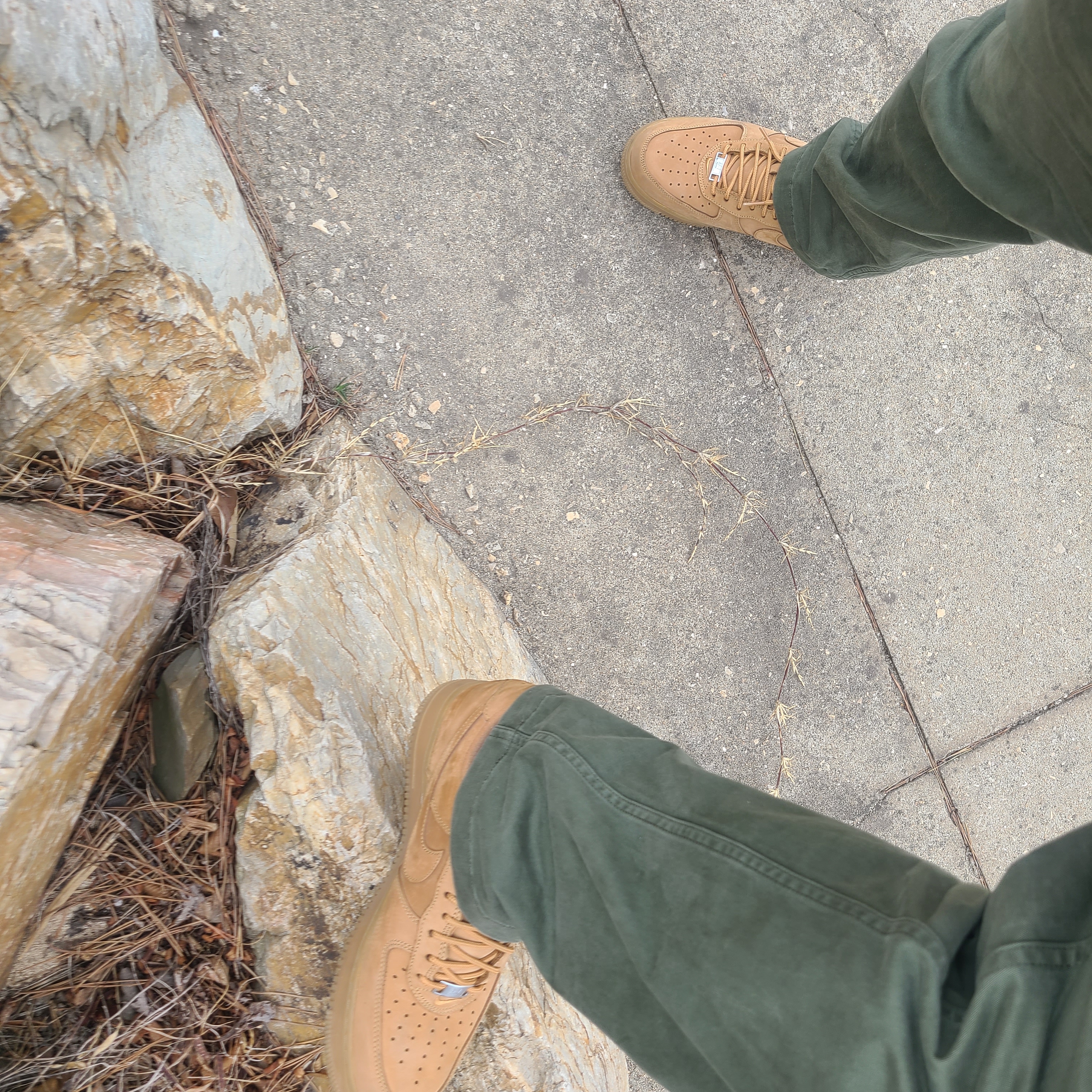 Nike x Supreme Air Force 1 Low Flax 착용 스타일