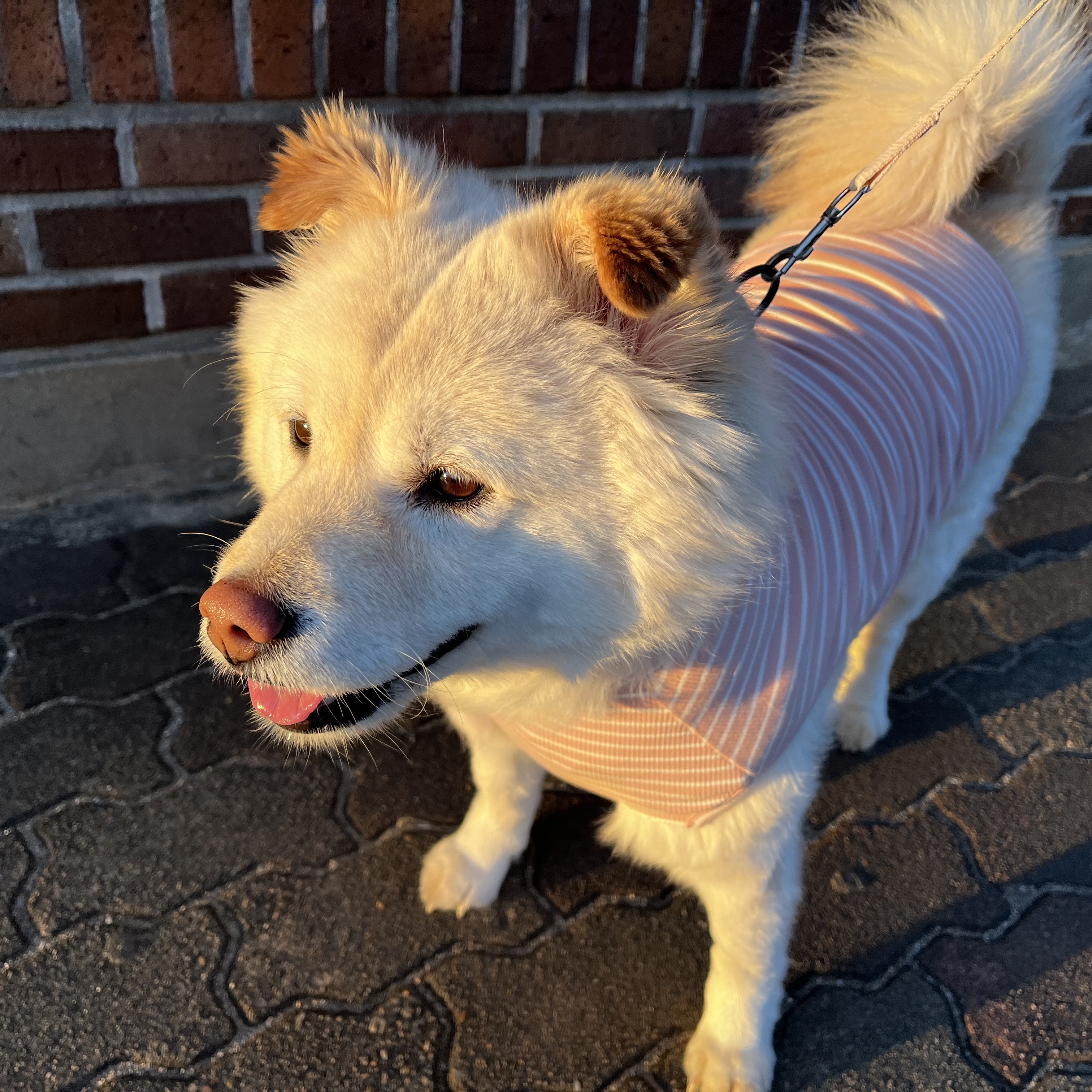 Charles님의 스타일