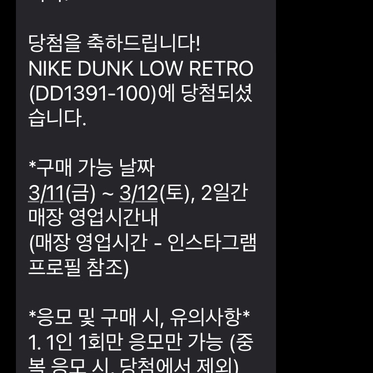 Nike Dunk Low Retro Black 착용 스타일 - 2