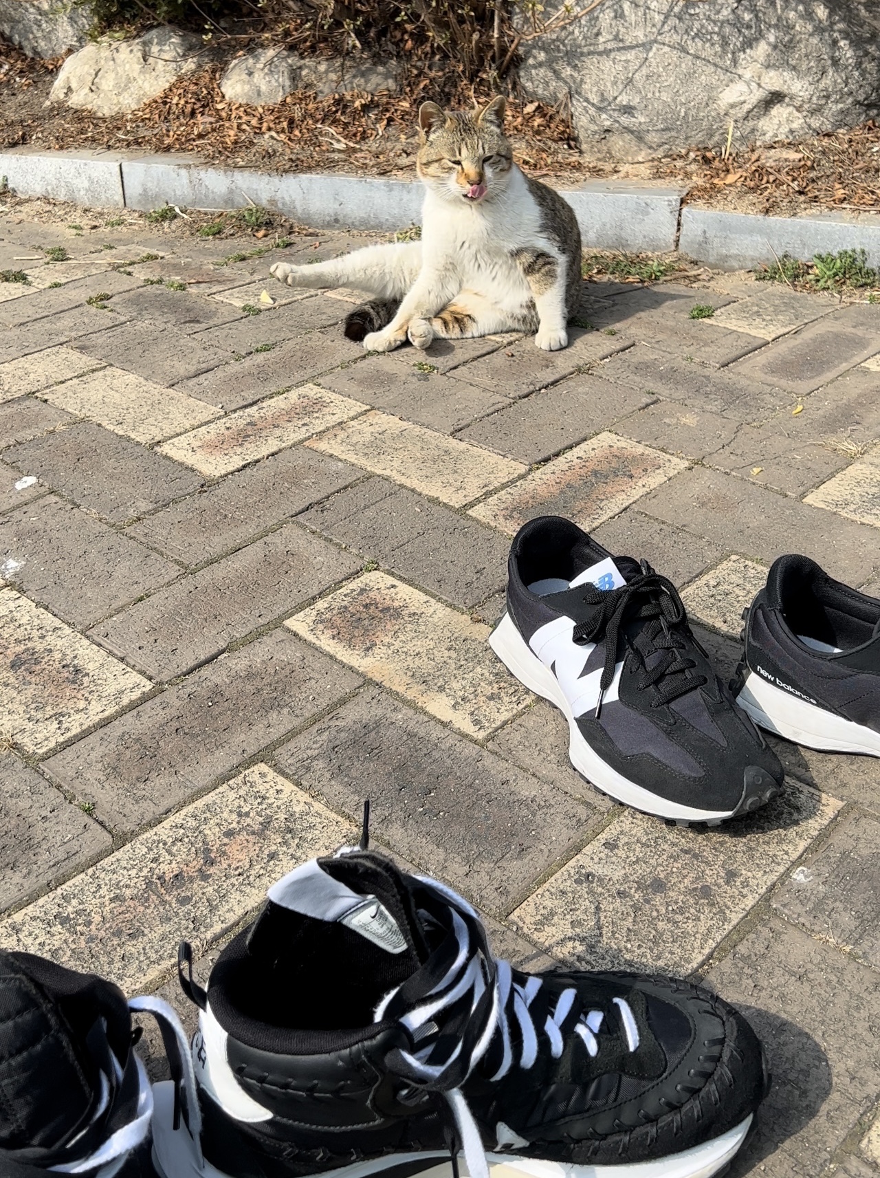 Nike x Sacai x Jean Paul Gaultier VaporWaffle Black White, New Balance 327 Black 착용 스타일 - 3