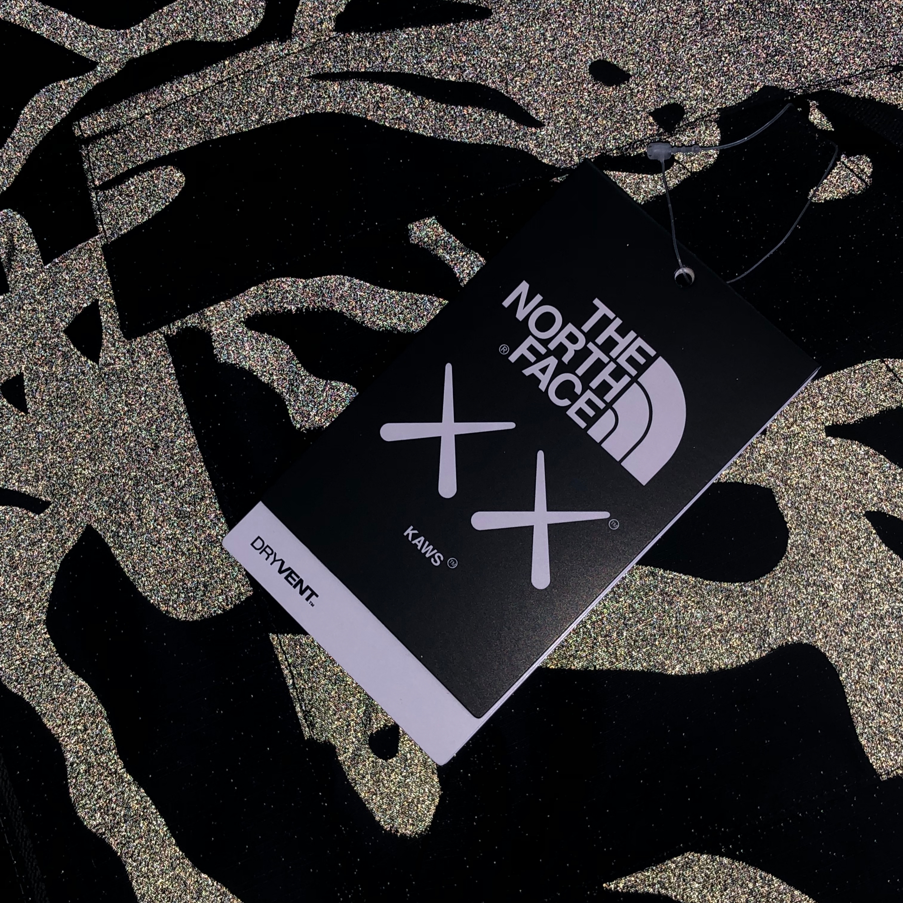 The North Face x Kaws Freeride Jacket Black Dragline Print 착용 스타일