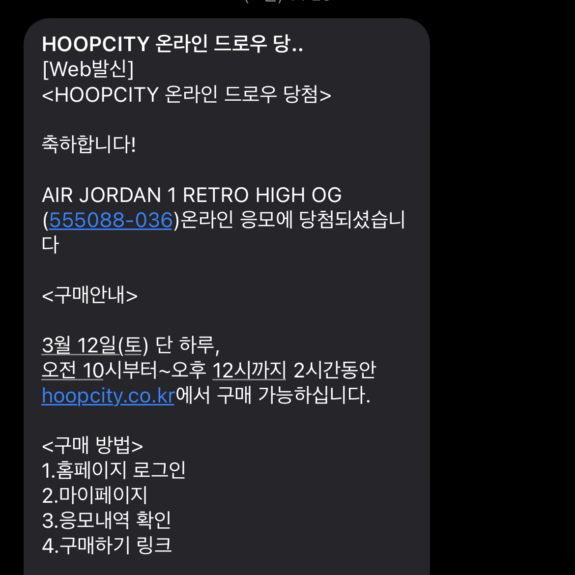 Jordan 1 Retro High OG Rebellionaire 착용 스타일