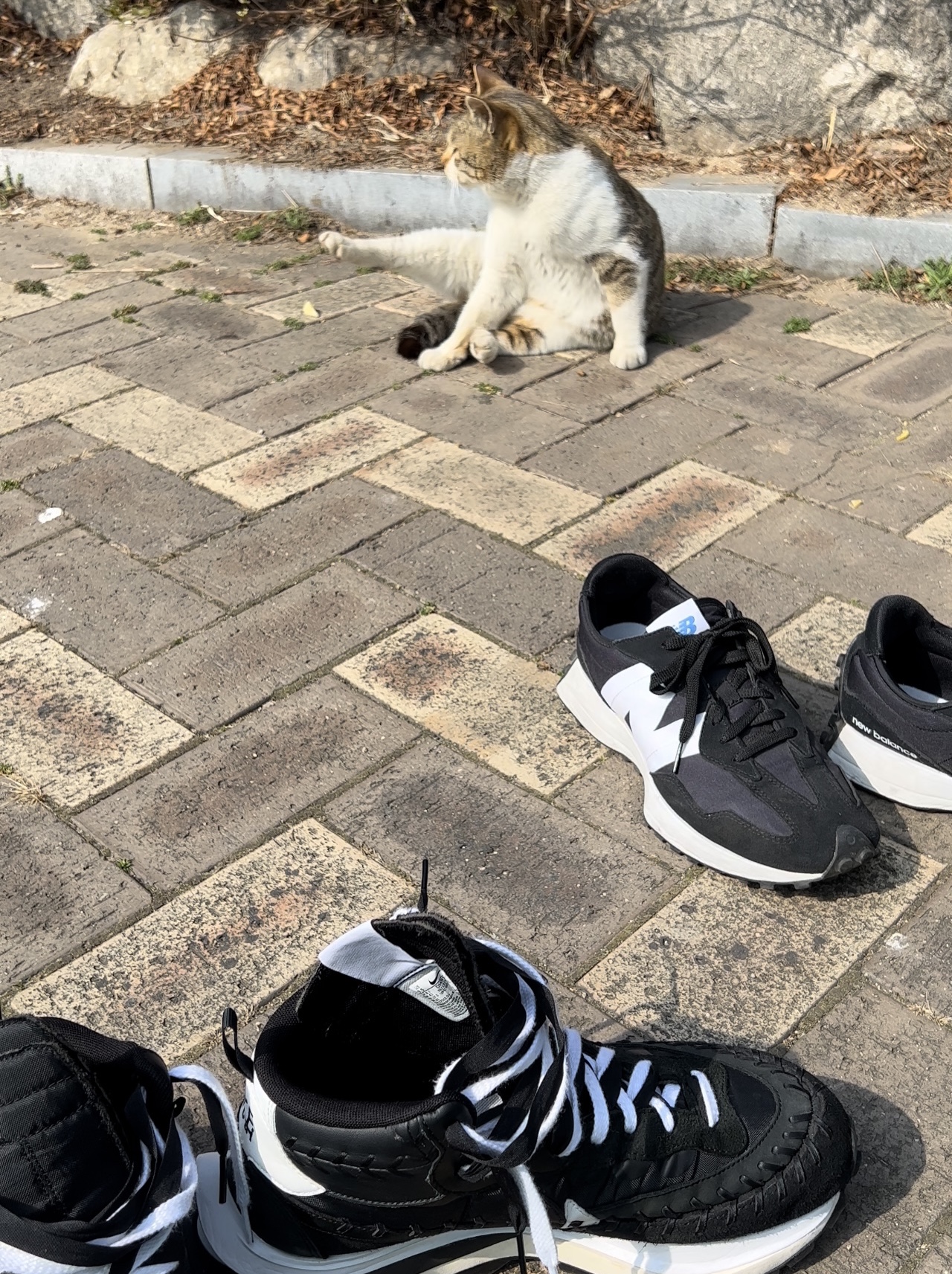 Nike x Sacai x Jean Paul Gaultier VaporWaffle Black White, New Balance 327 Black 착용 스타일 - 4