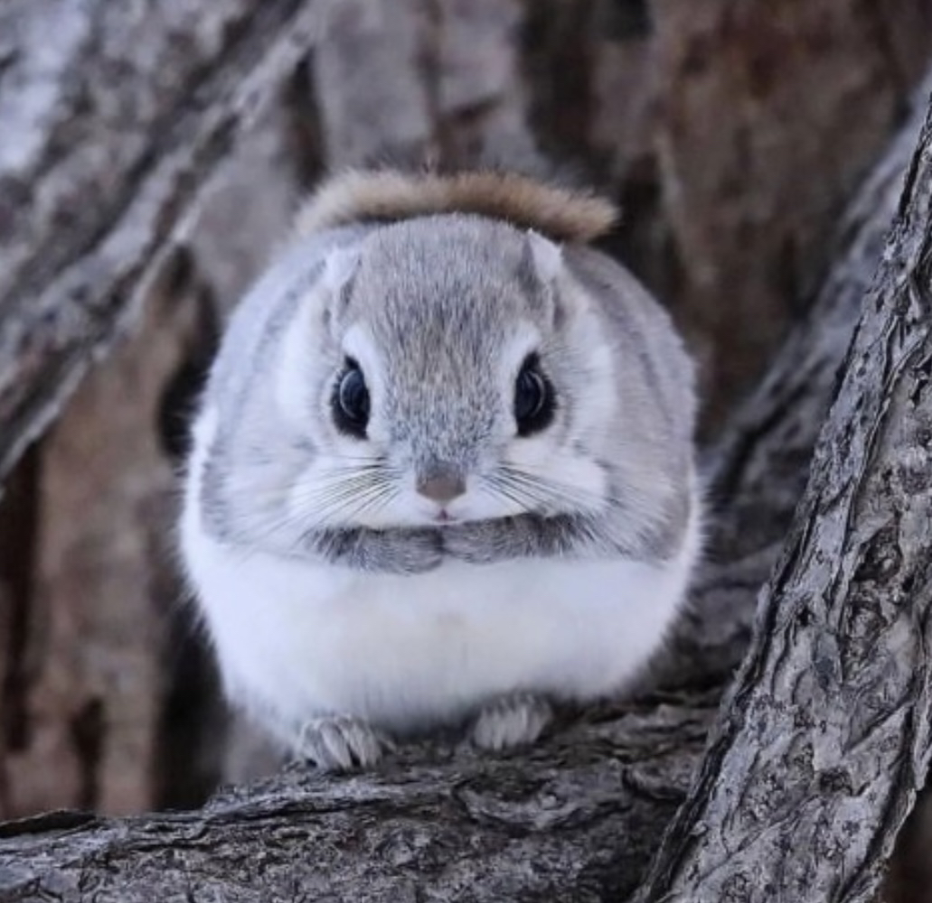 관심 유저 프로필 이미지