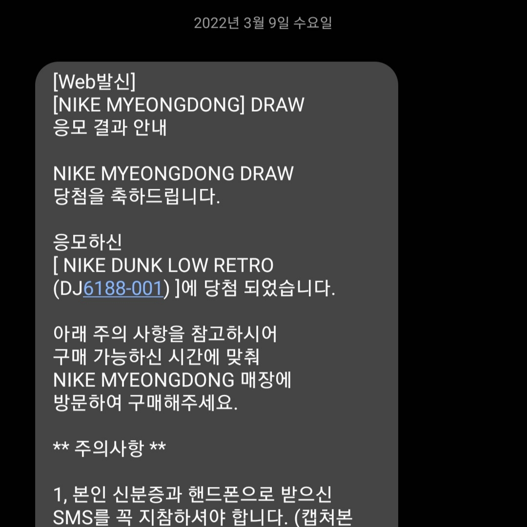 Nike Dunk Low Retro Wolf Grey 착용 스타일 - 1