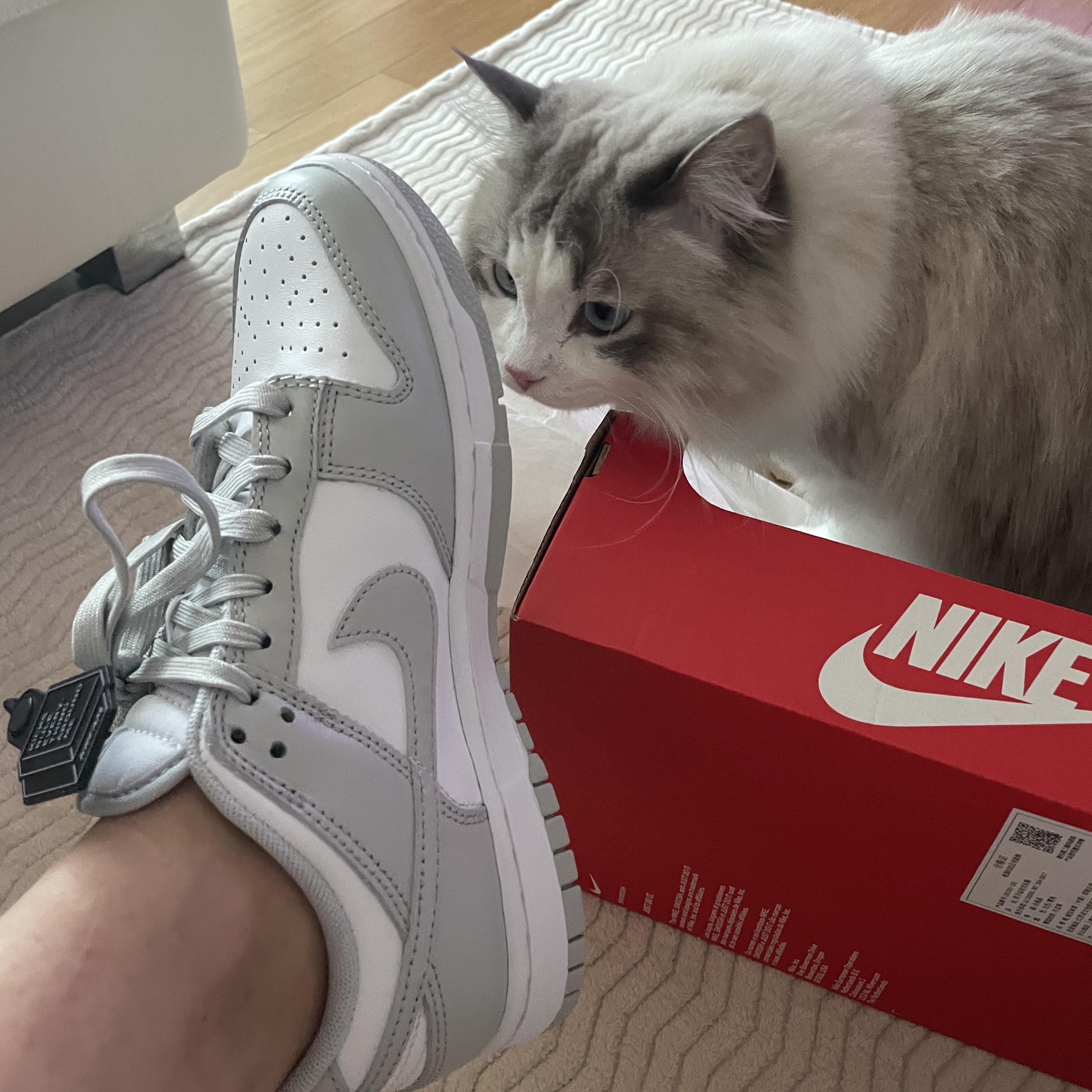 Nike Dunk Low Retro Grey Fog 착용 스타일 - 3