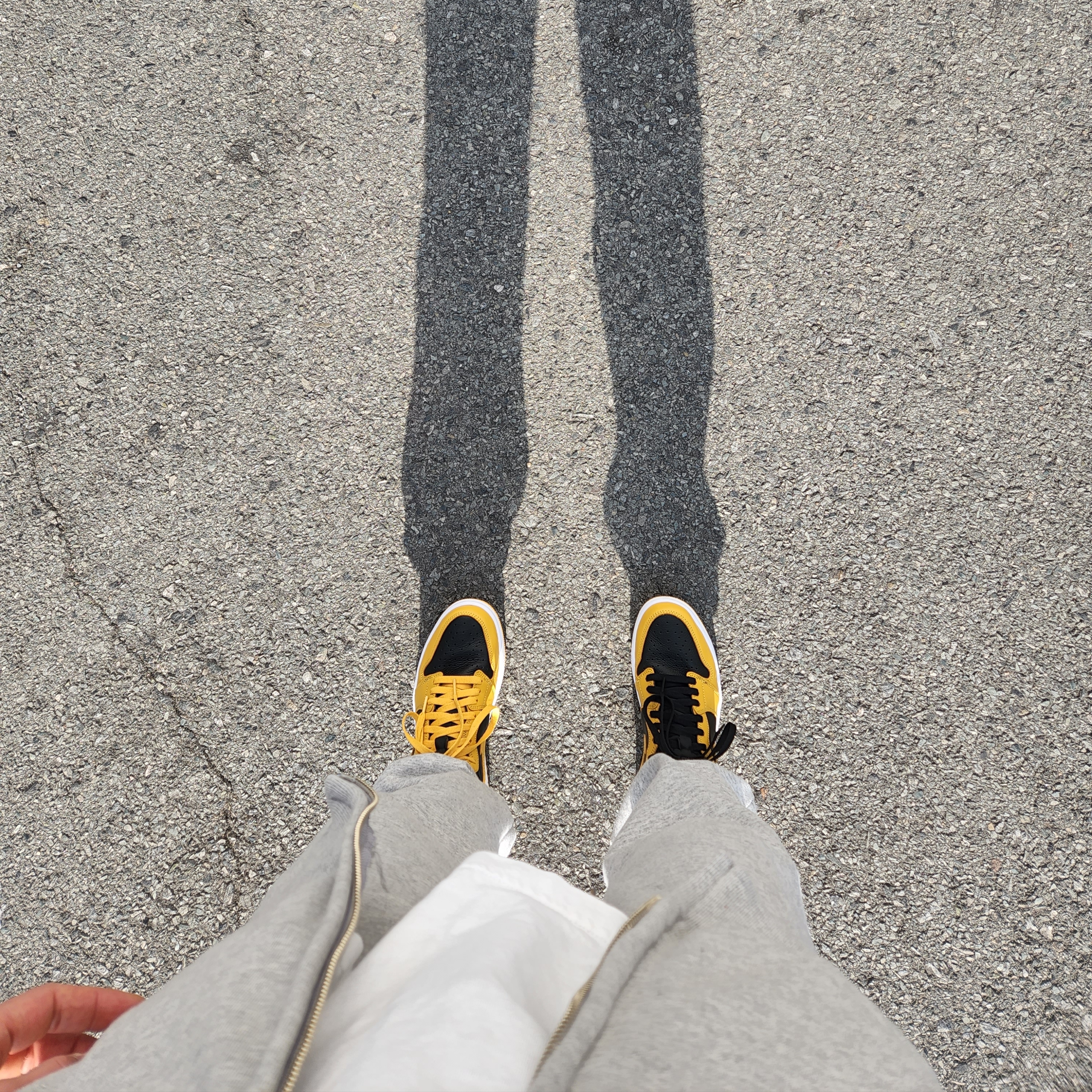 Jordan 1 Retro High OG Pollen 착용 스타일