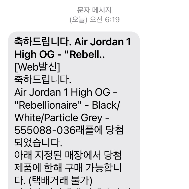 Jordan 1 Retro High OG Rebellionaire 착용 스타일 - 5