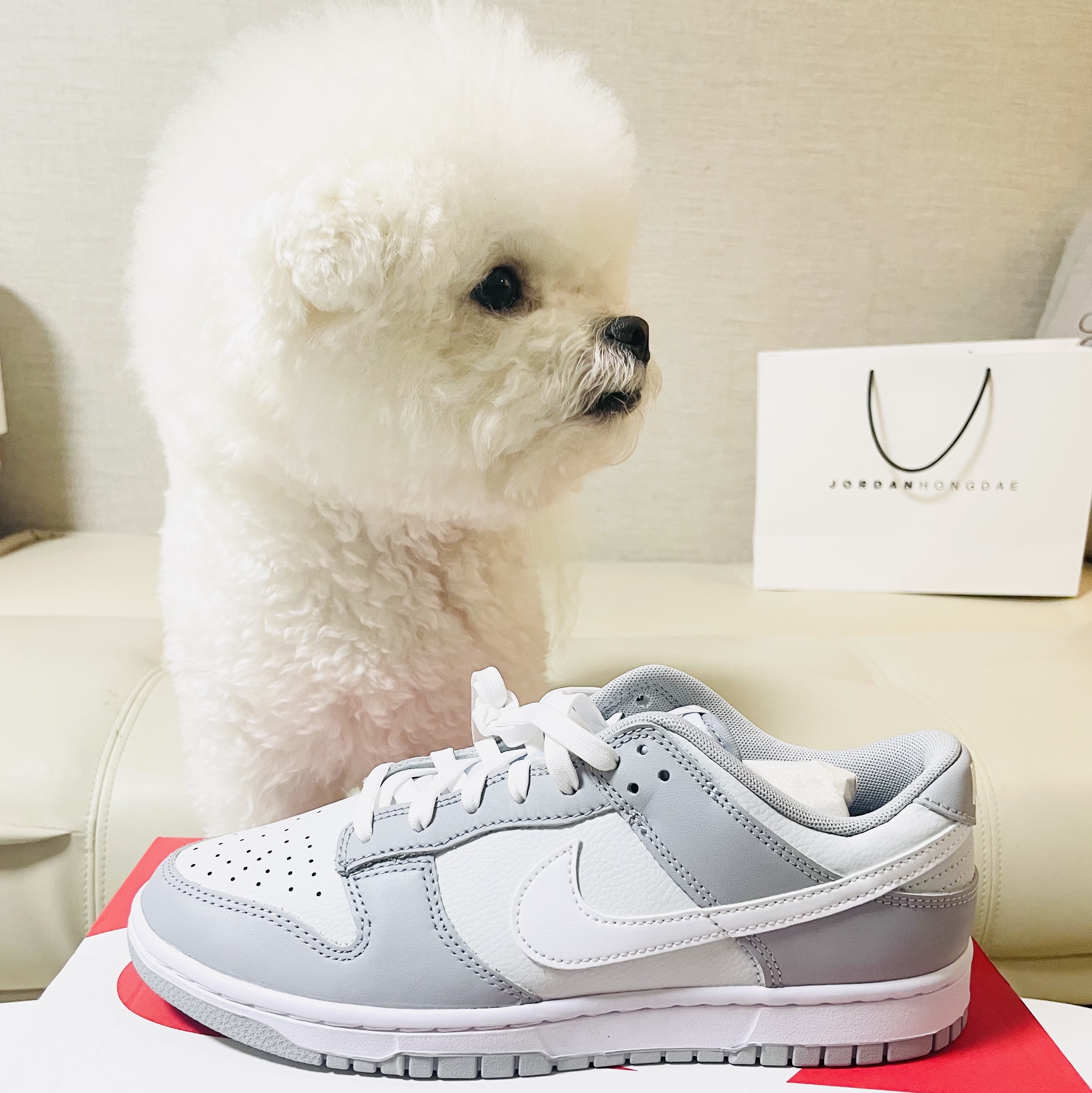 Nike Dunk Low Retro Wolf Grey 착용 스타일