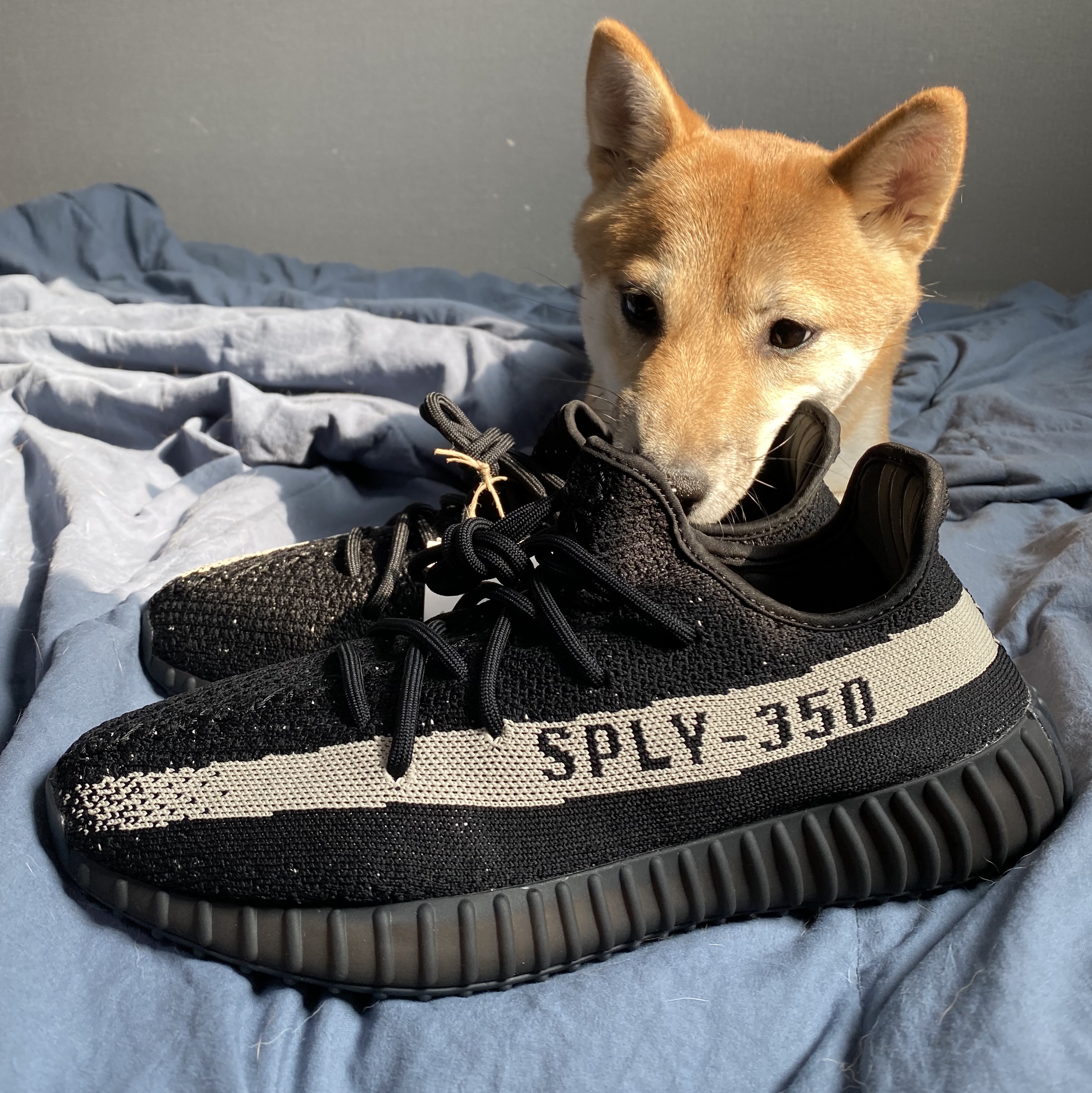 Adidas Yeezy Boost 350 V2 Core Black White 2022 착용 스타일