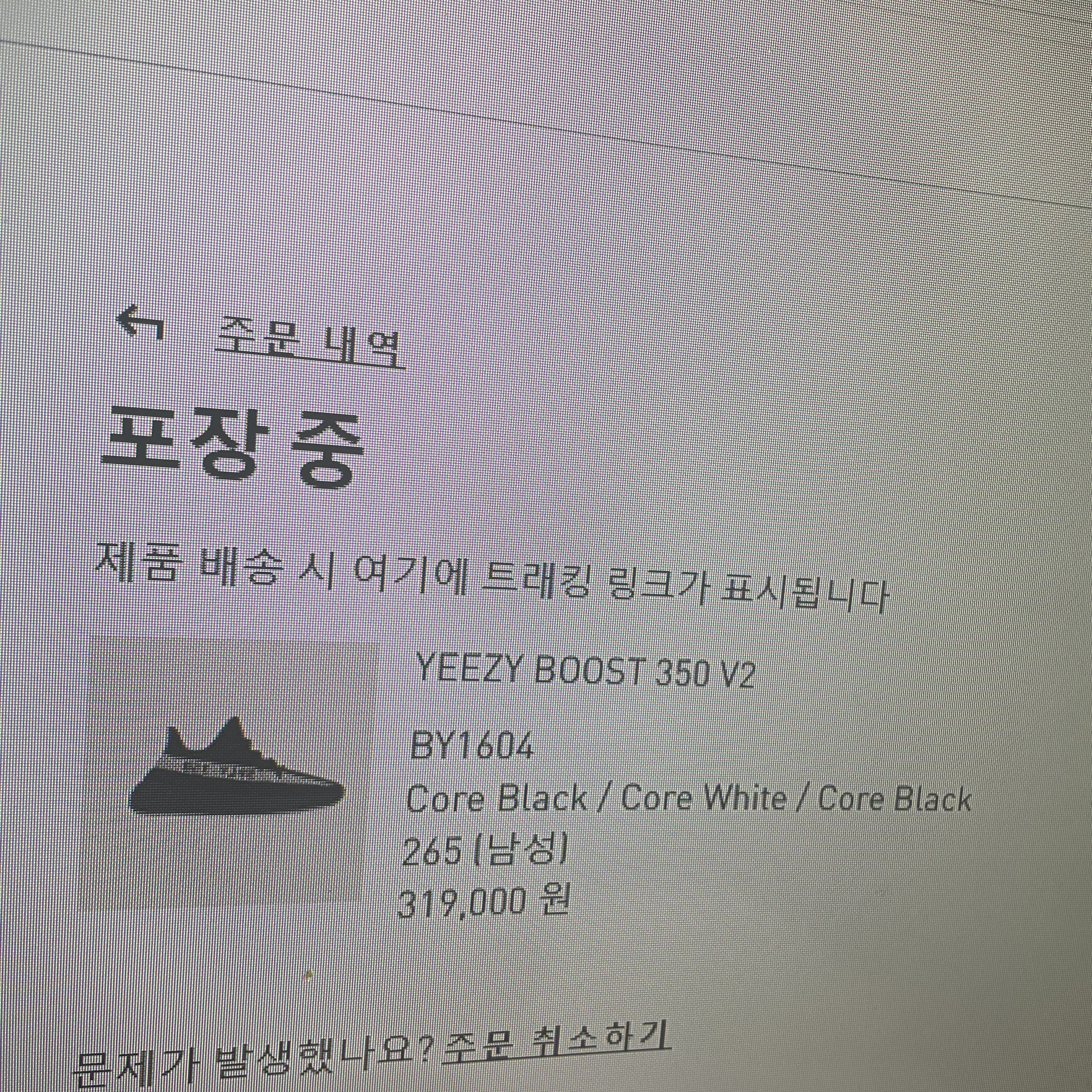 Adidas Yeezy Boost 350 V2 Core Black White 2022 착용 스타일