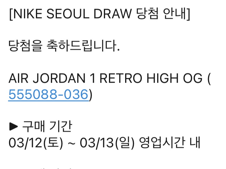 Jordan 1 Retro High OG Rebellionaire 착용 스타일 - 2