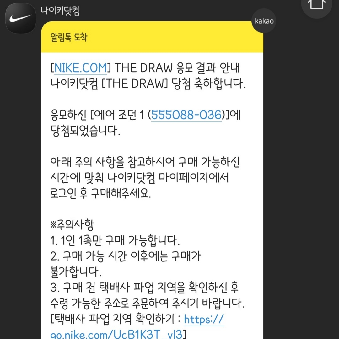 Jordan 1 Retro High OG Rebellionaire 착용 스타일