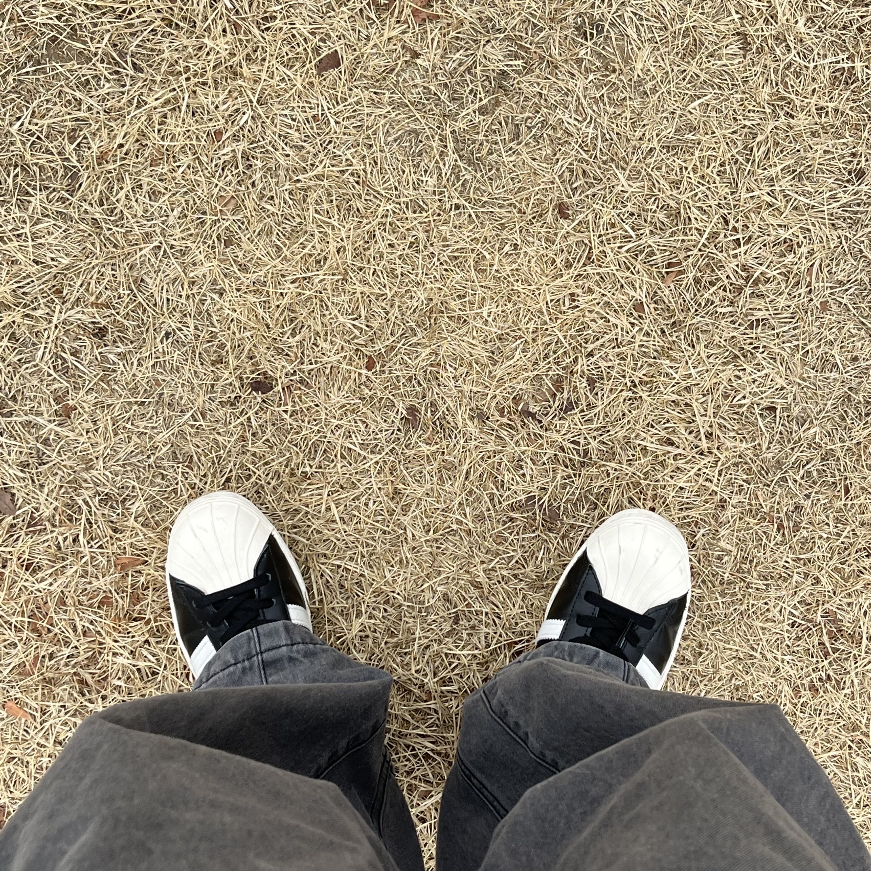 Adidas Superstar 80s Black White 착용 스타일