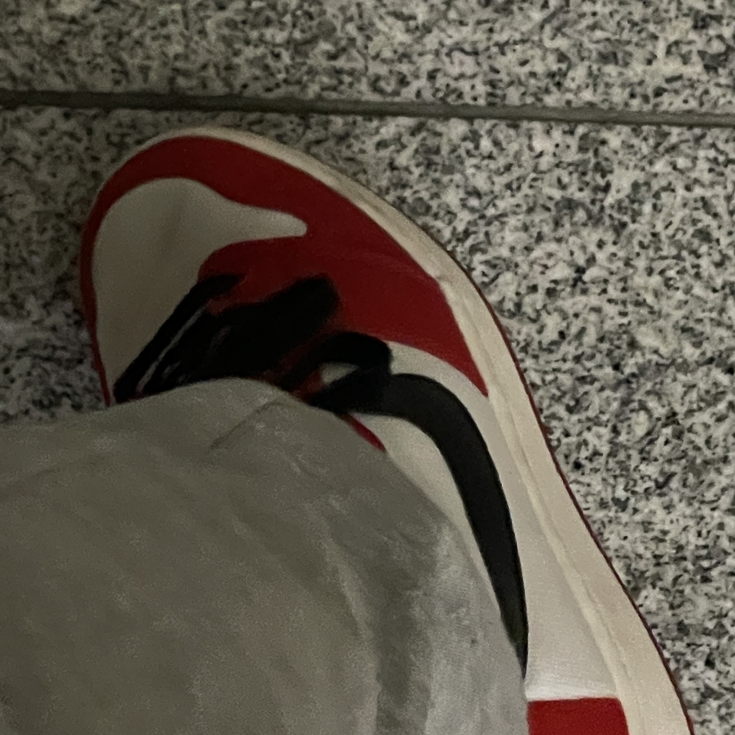 Jordan 1 KO Chicago 2021 착용 스타일