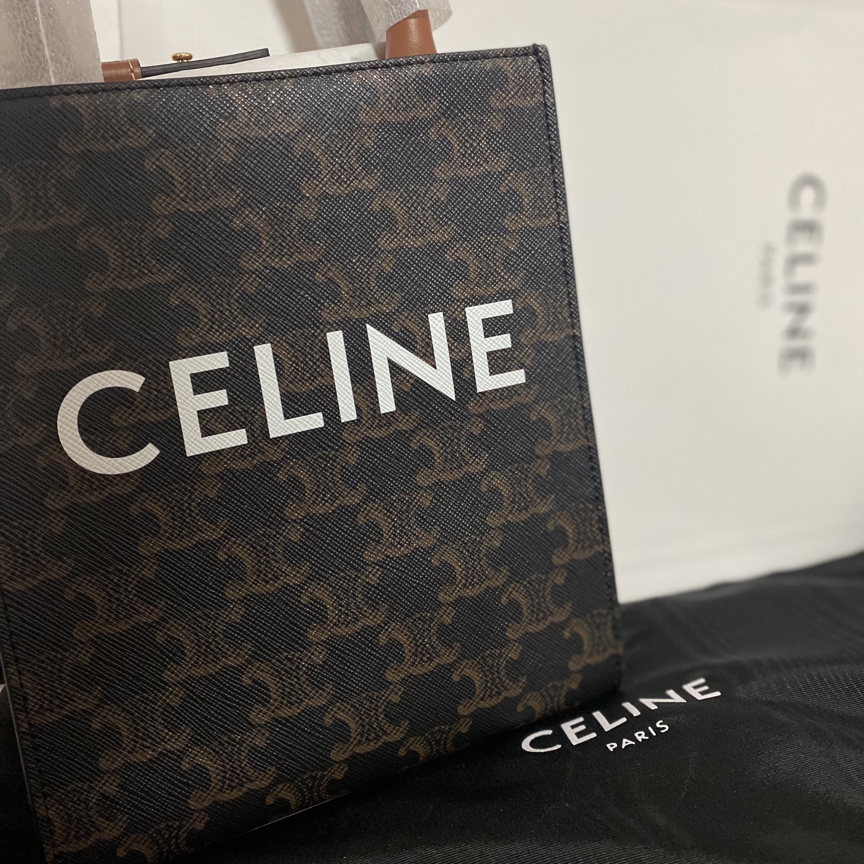 Celine Mini Vertical Cabas in Triomphe Canvas and Calfskin with Celine Print Tan 착용 스타일