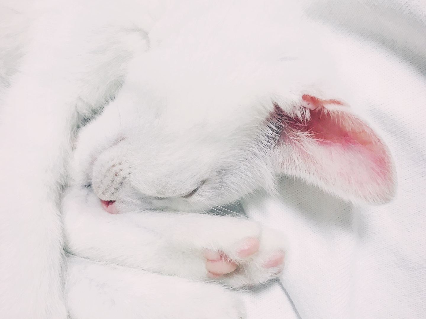 김샷건님의 스타일