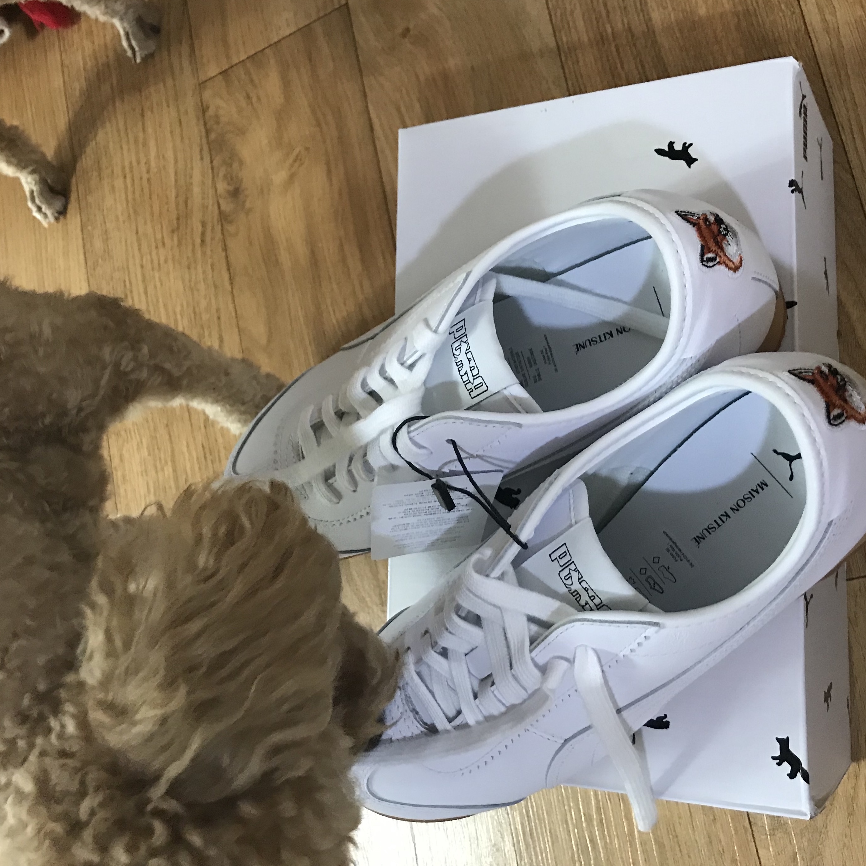 Puma x Maison Kitsune Roma White 착용 스타일
