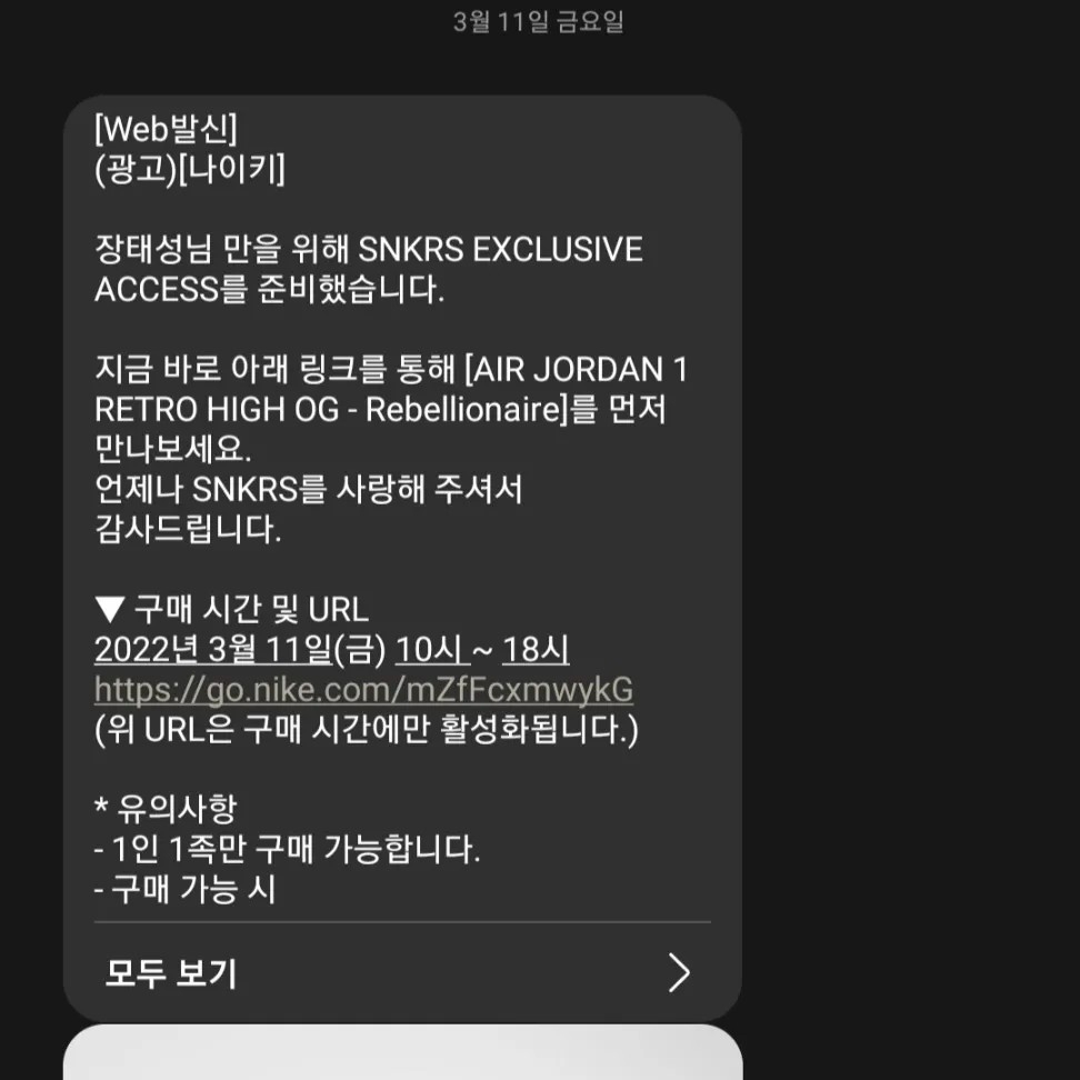 Jordan 1 Retro High OG Rebellionaire 착용 스타일 - 4