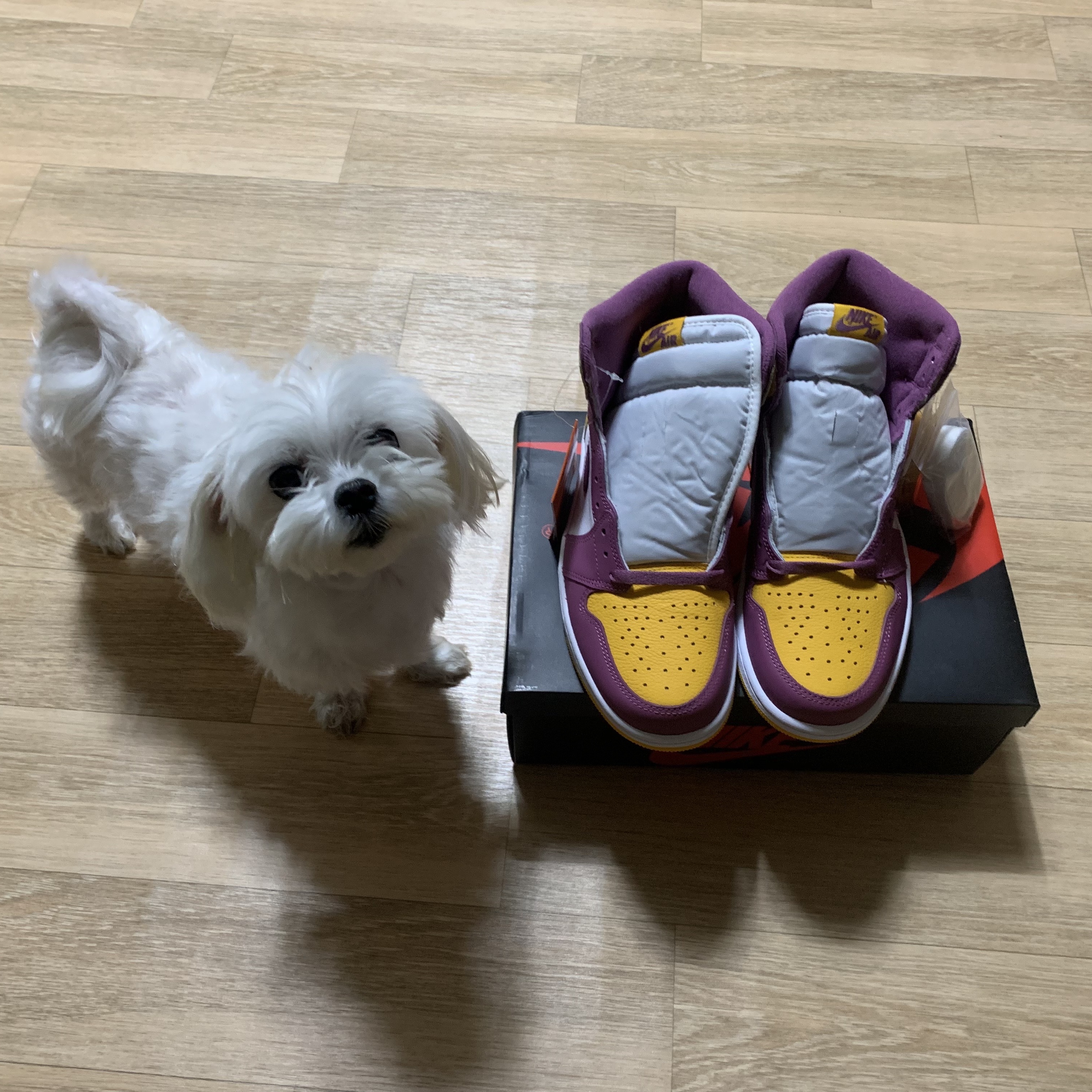 Jordan 1 Retro High OG University Gold Light Bordeaux 착용 스타일