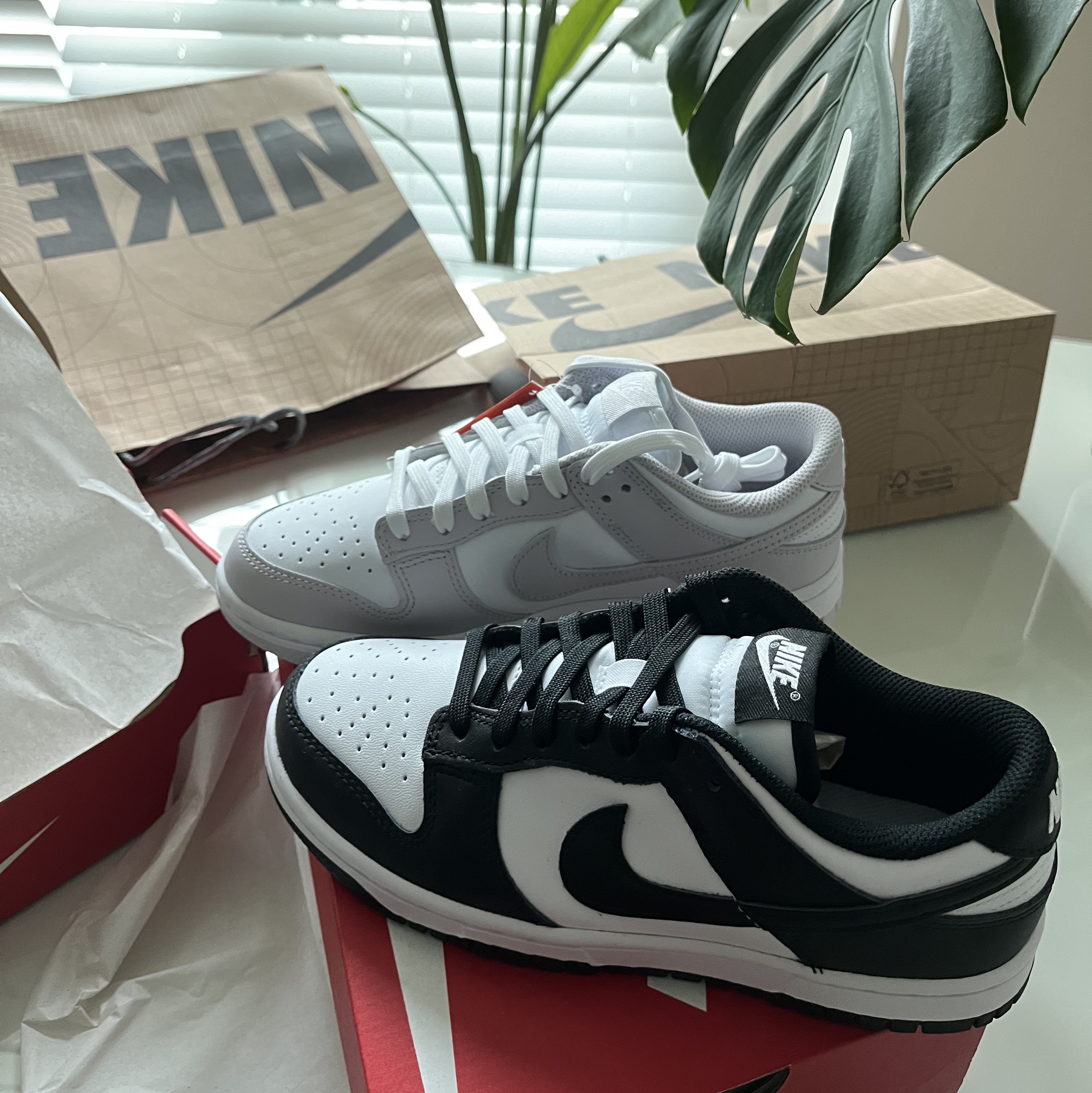 (W) Nike Dunk Low Venice, (W) Nike Dunk Low Black 착용 스타일
