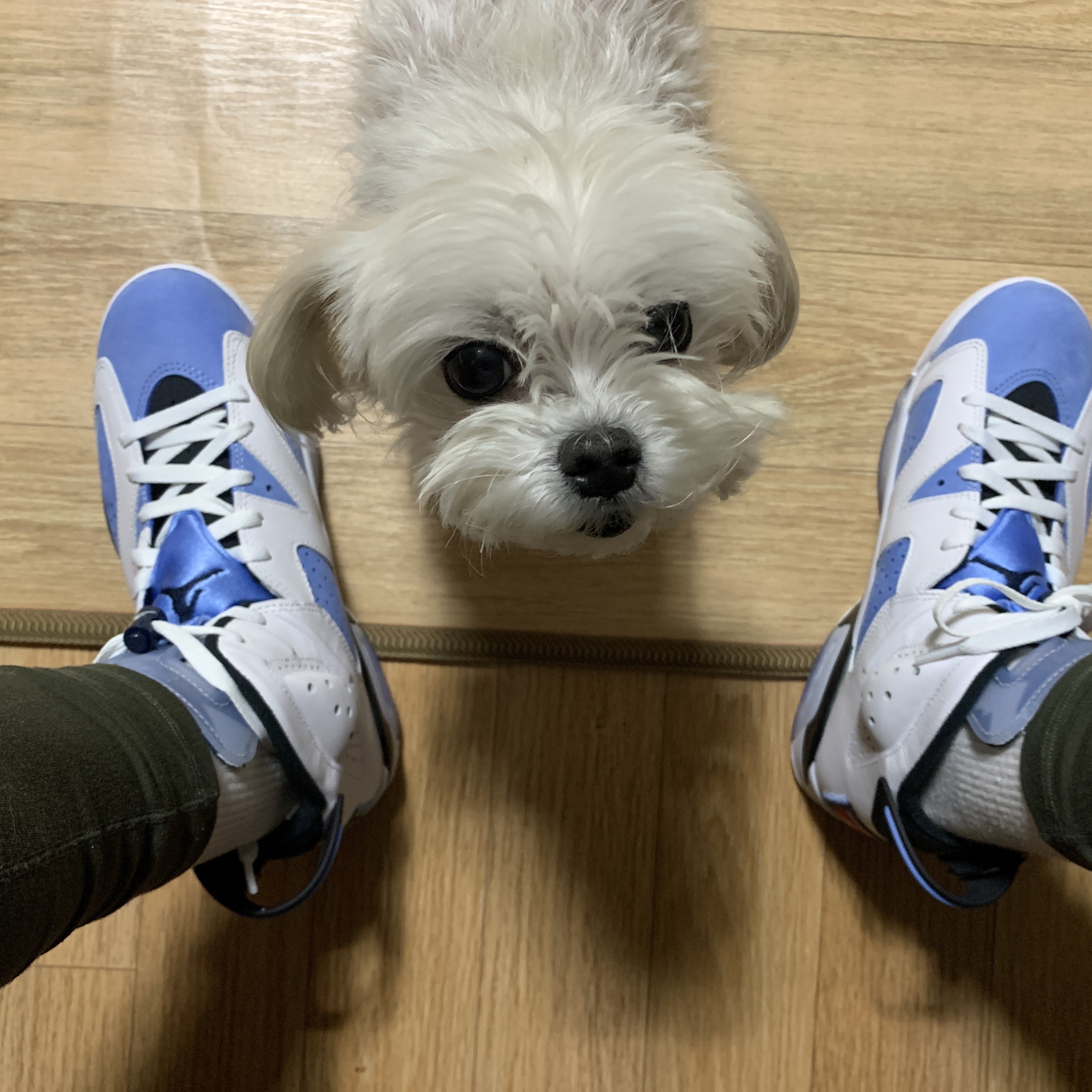 Jordan 6 Retro University Blue 착용 스타일 - 1