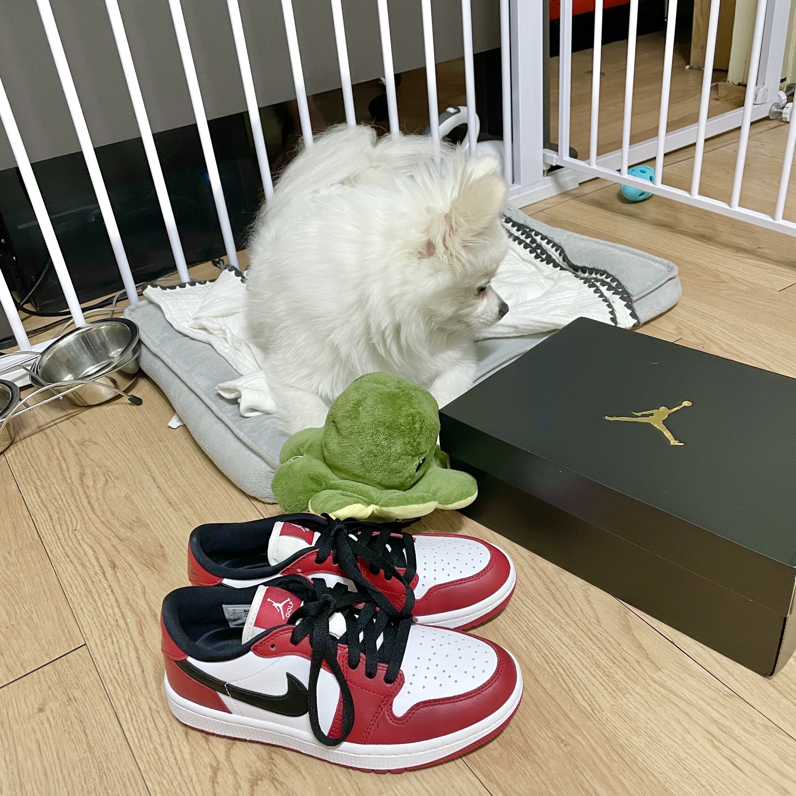 Jordan 1 Low Golf Chicago 착용 스타일