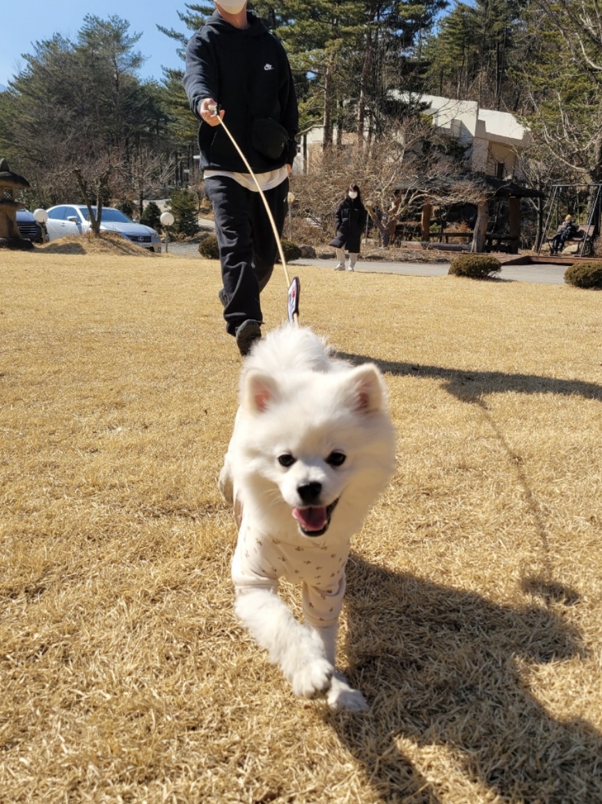 Salomon x Organiclab.zip XA Pro 1 Black Maverick, Nike NRG Solo Swoosh Fleece Pants Black White - Asia 착용 스타일 - 2