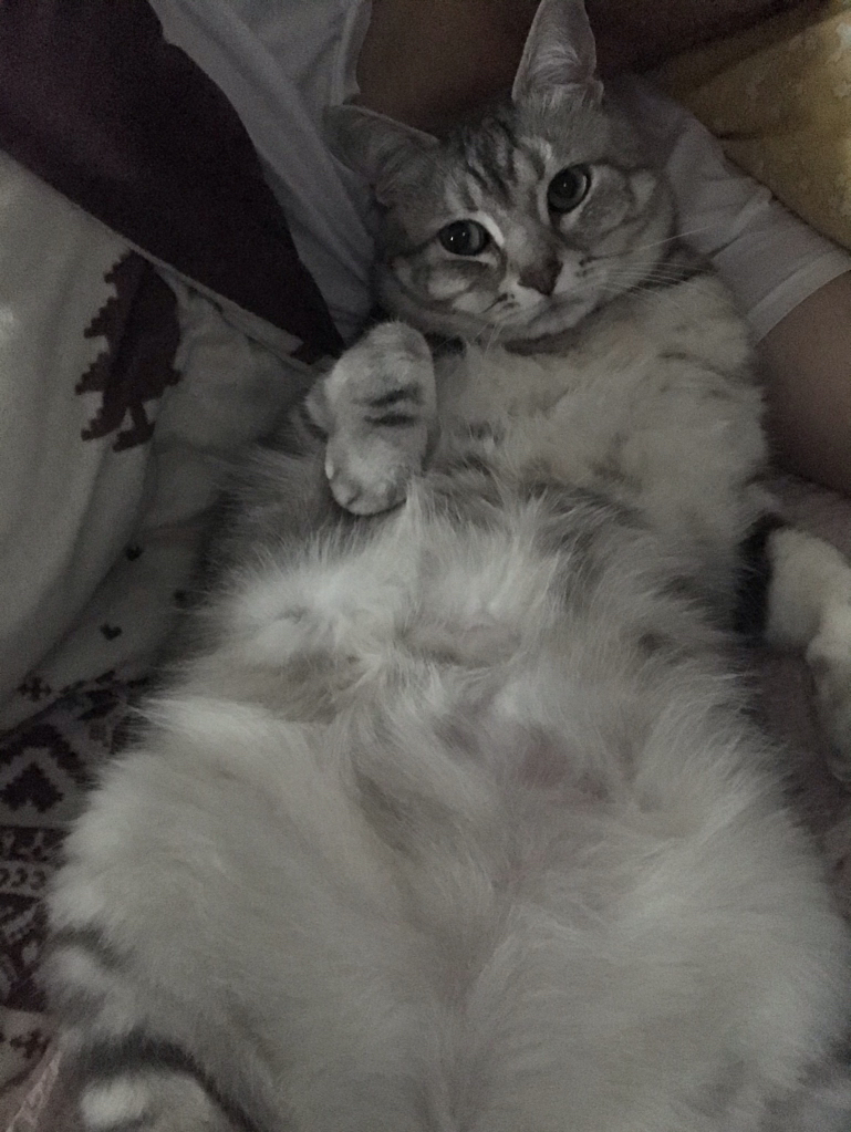 관심 유저 프로필 이미지