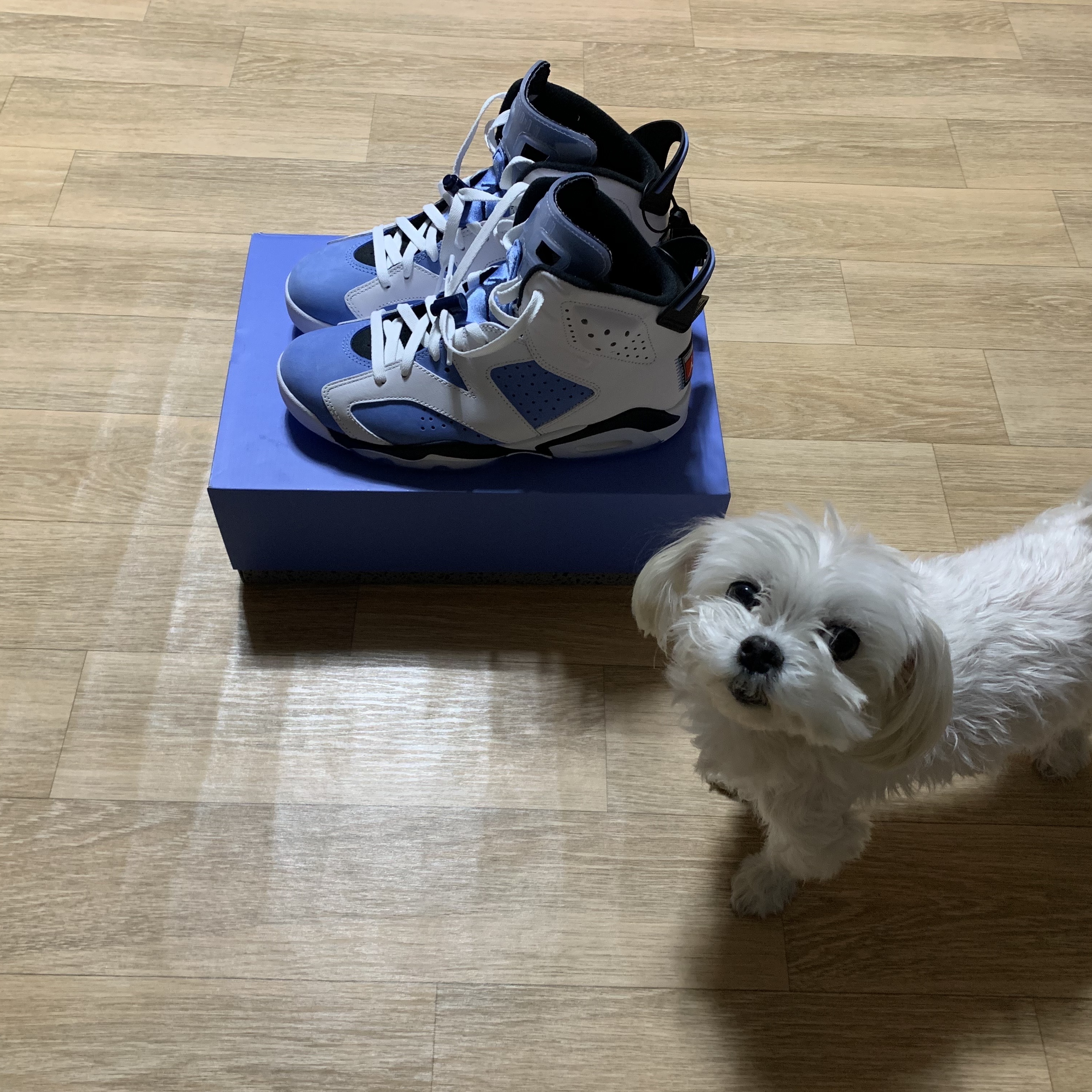 Jordan 6 Retro University Blue 착용 스타일 - 2
