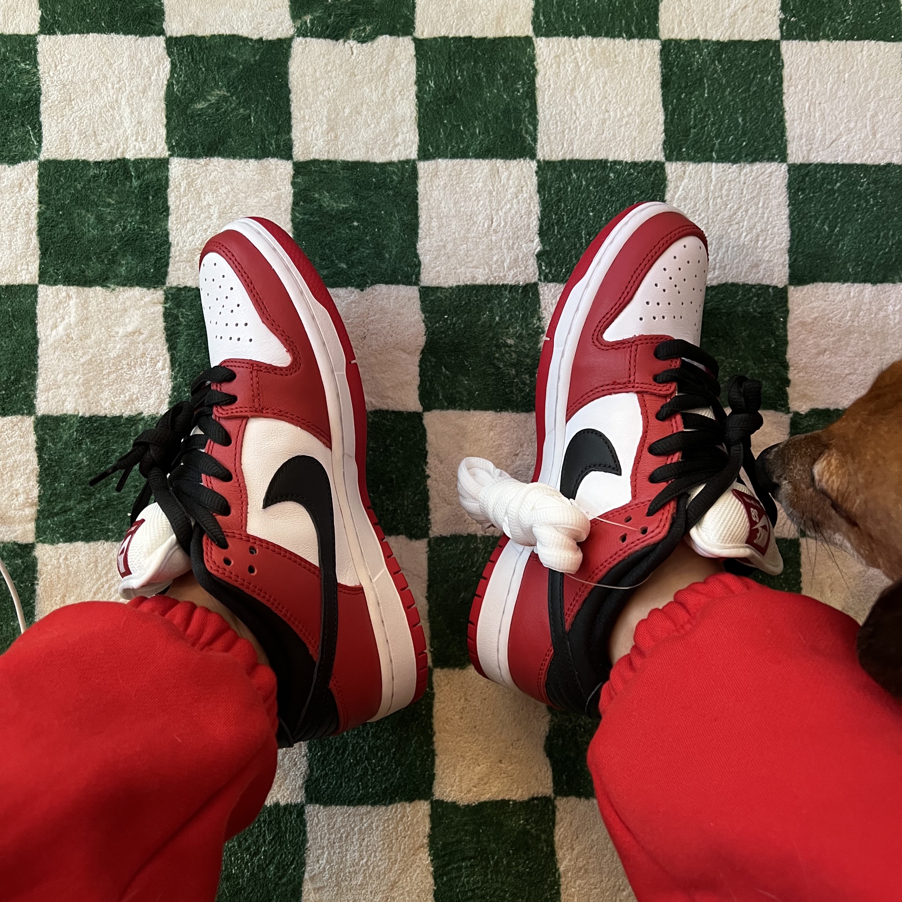 Nike SB Dunk Low Pro Chicago, Nike NRG Solo Swoosh Fleece Hoodie Black White - US/EU 착용 스타일 - 3