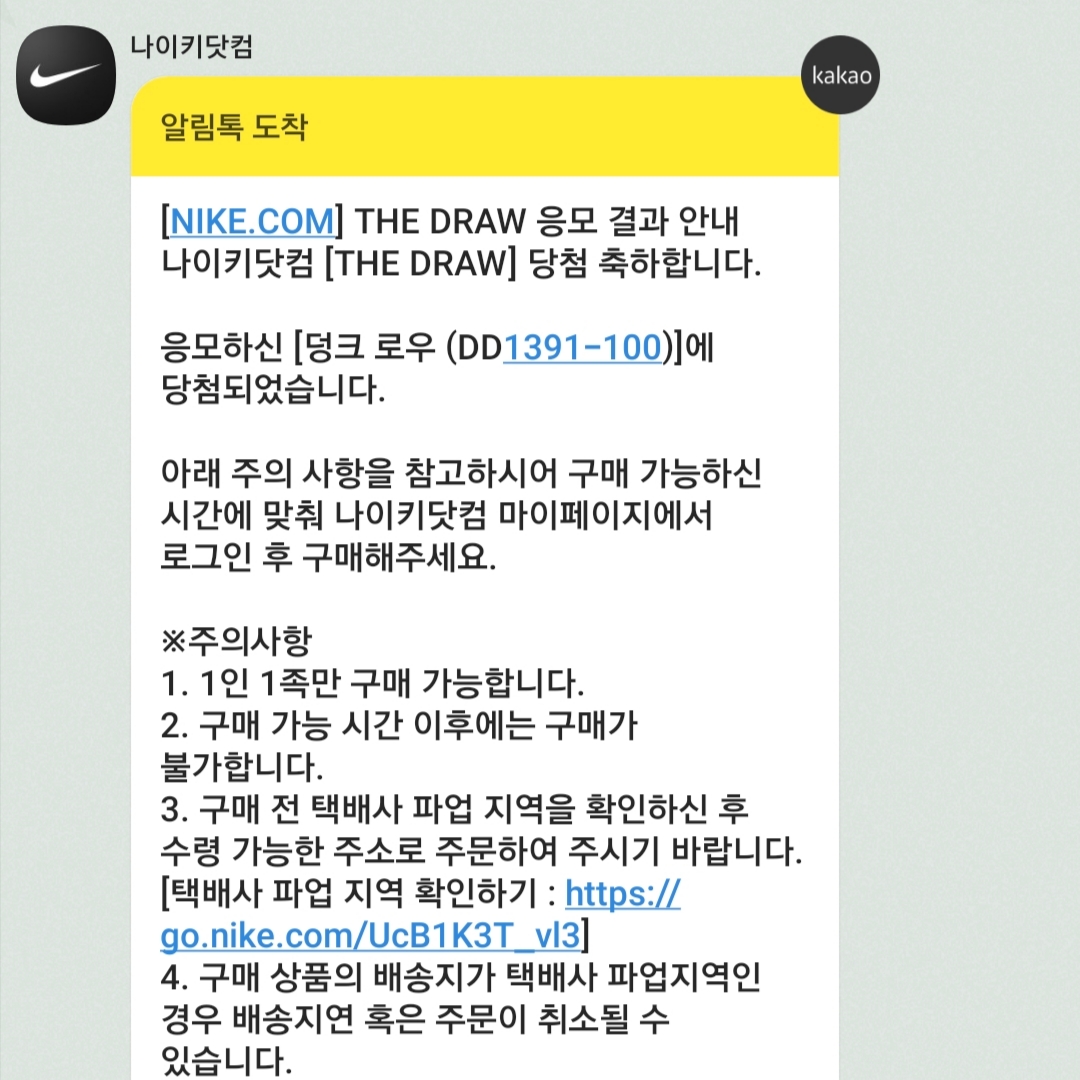 Nike Dunk Low Retro Black 착용 스타일