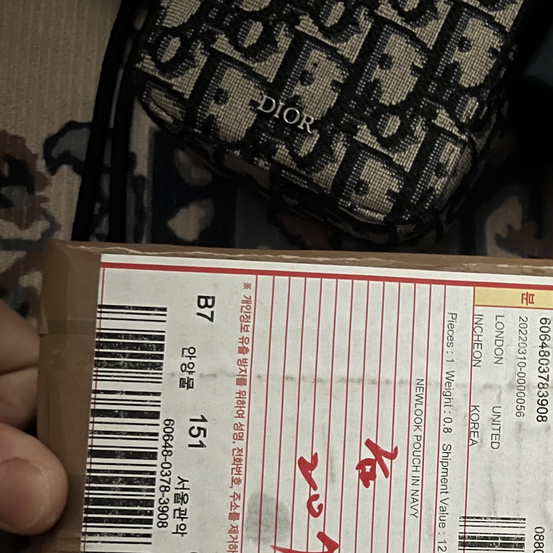 Dior Saddle Lotus Wallet Blue Dior Oblique Jacquard 착용 스타일 - 4