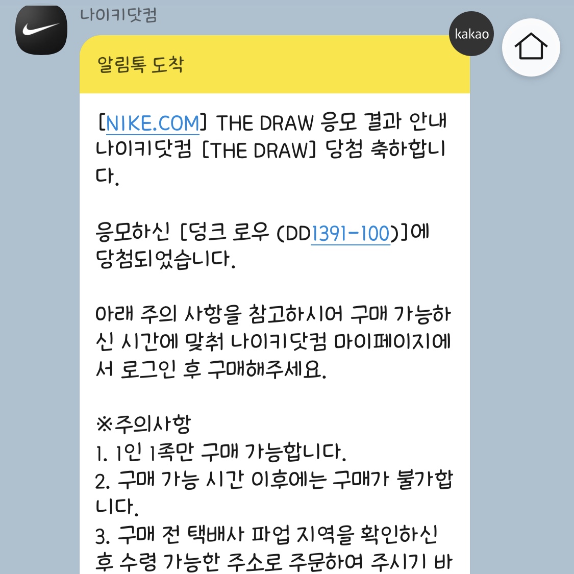 Nike Dunk Low Retro Black 착용 스타일