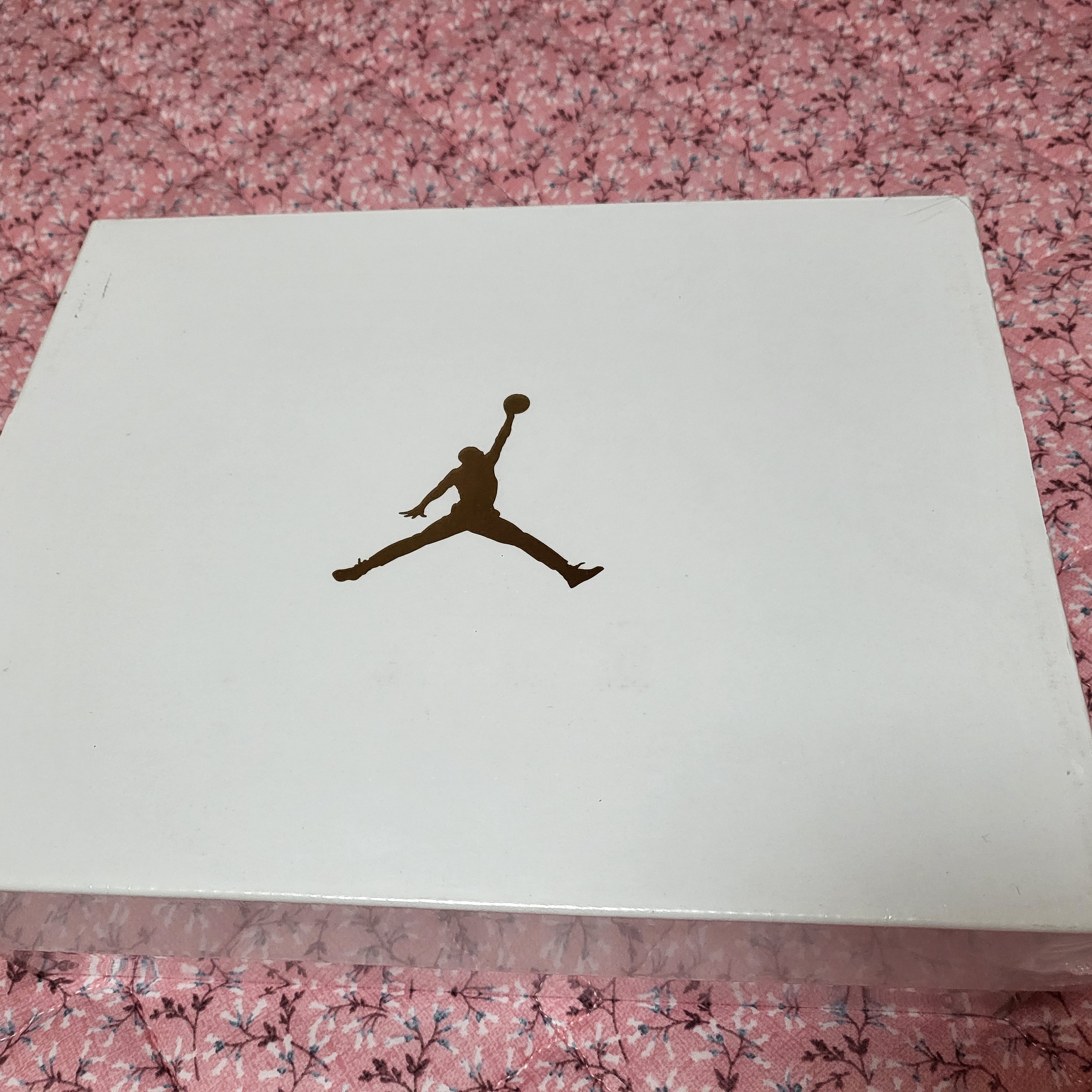 (GS) Nike Dunk Low Wolf Grey, Jordan 1 Low Bred Toe 착용 스타일 - 4