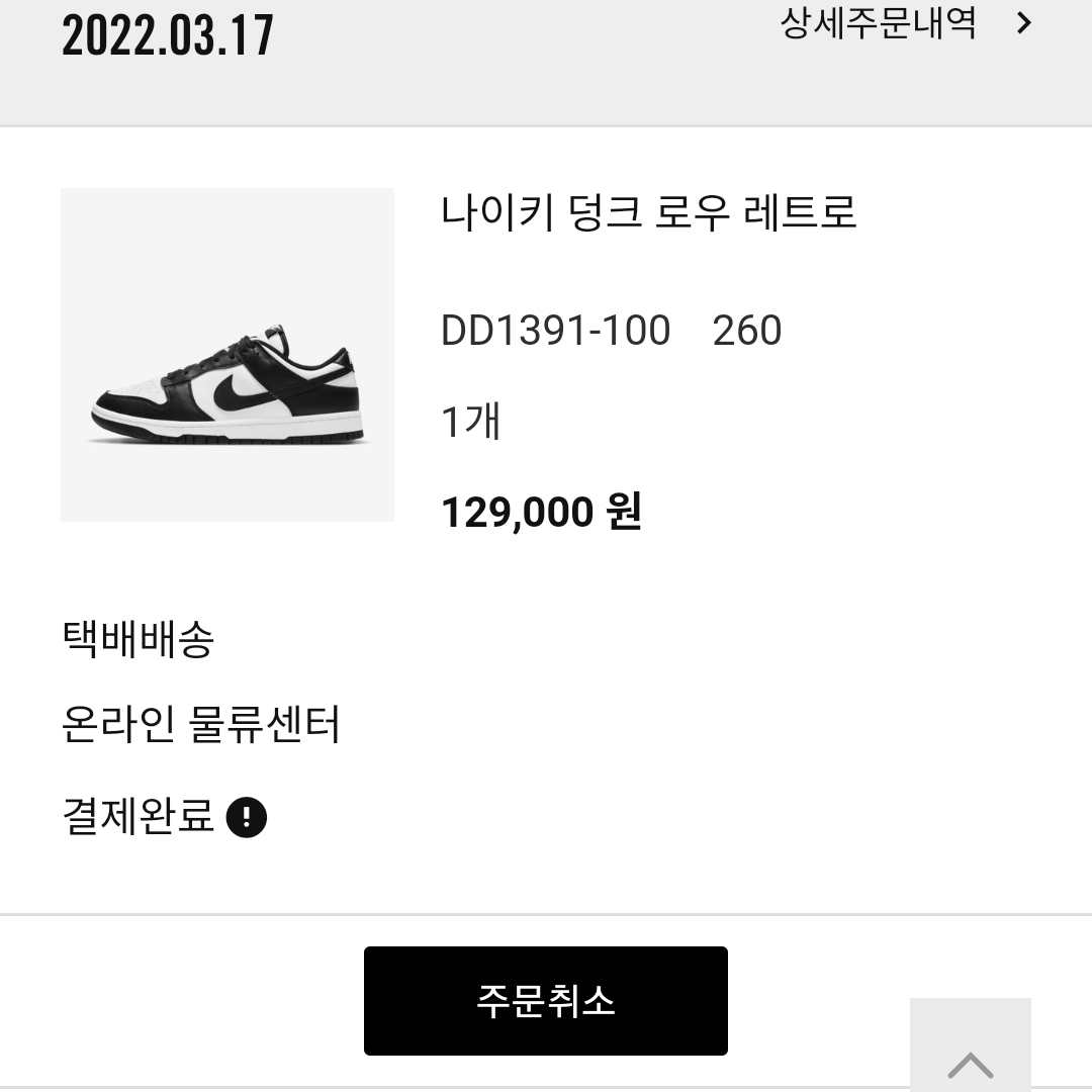 Nike Dunk Low Retro Black 착용 스타일