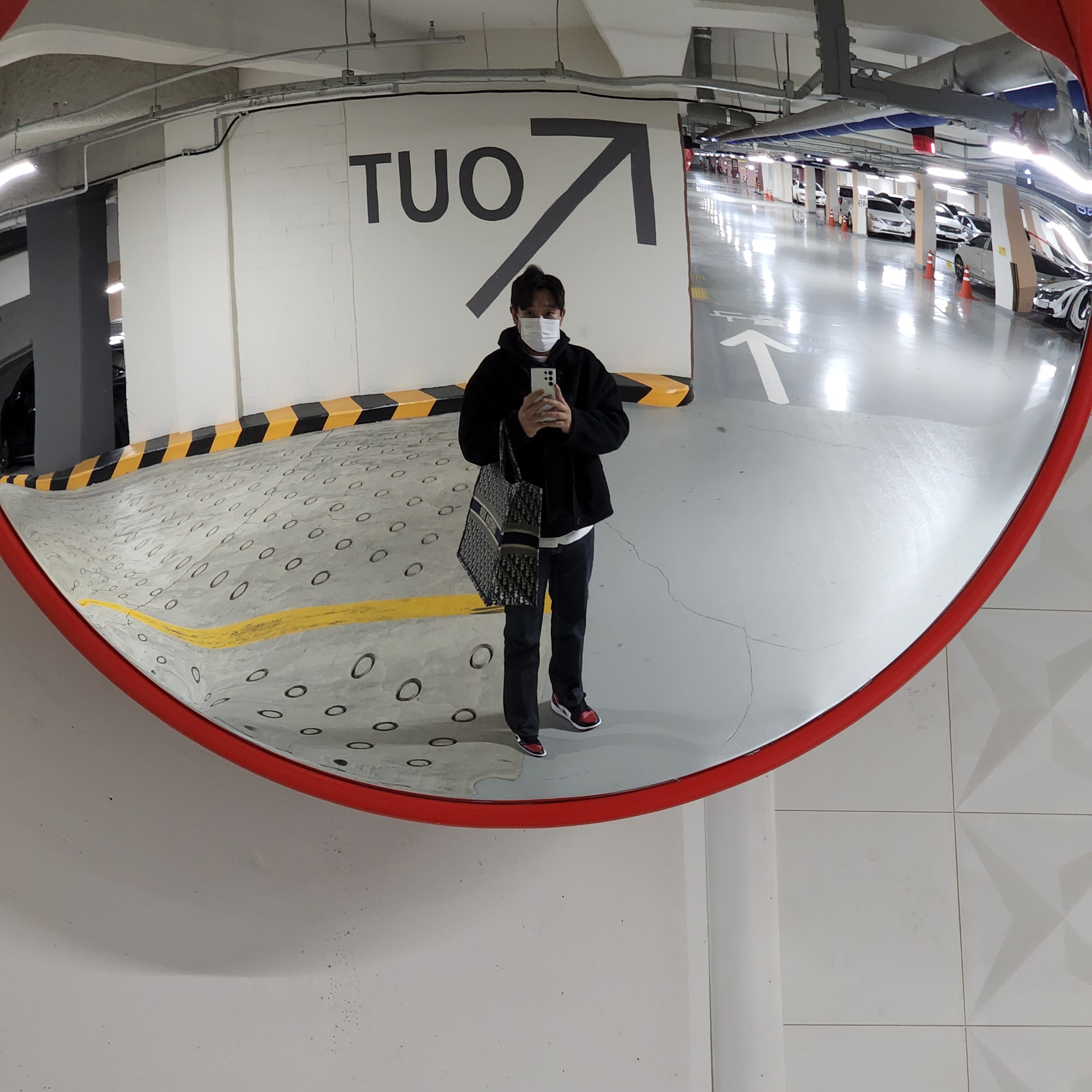 Jordan 1 Low Bred Toe, Dior Large Book Tote Blue Dior Oblique Embroidery 착용 스타일 - 2