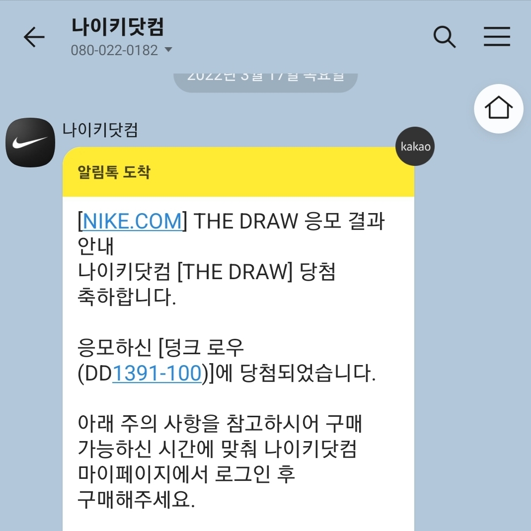 Nike Dunk Low Retro Black 착용 스타일