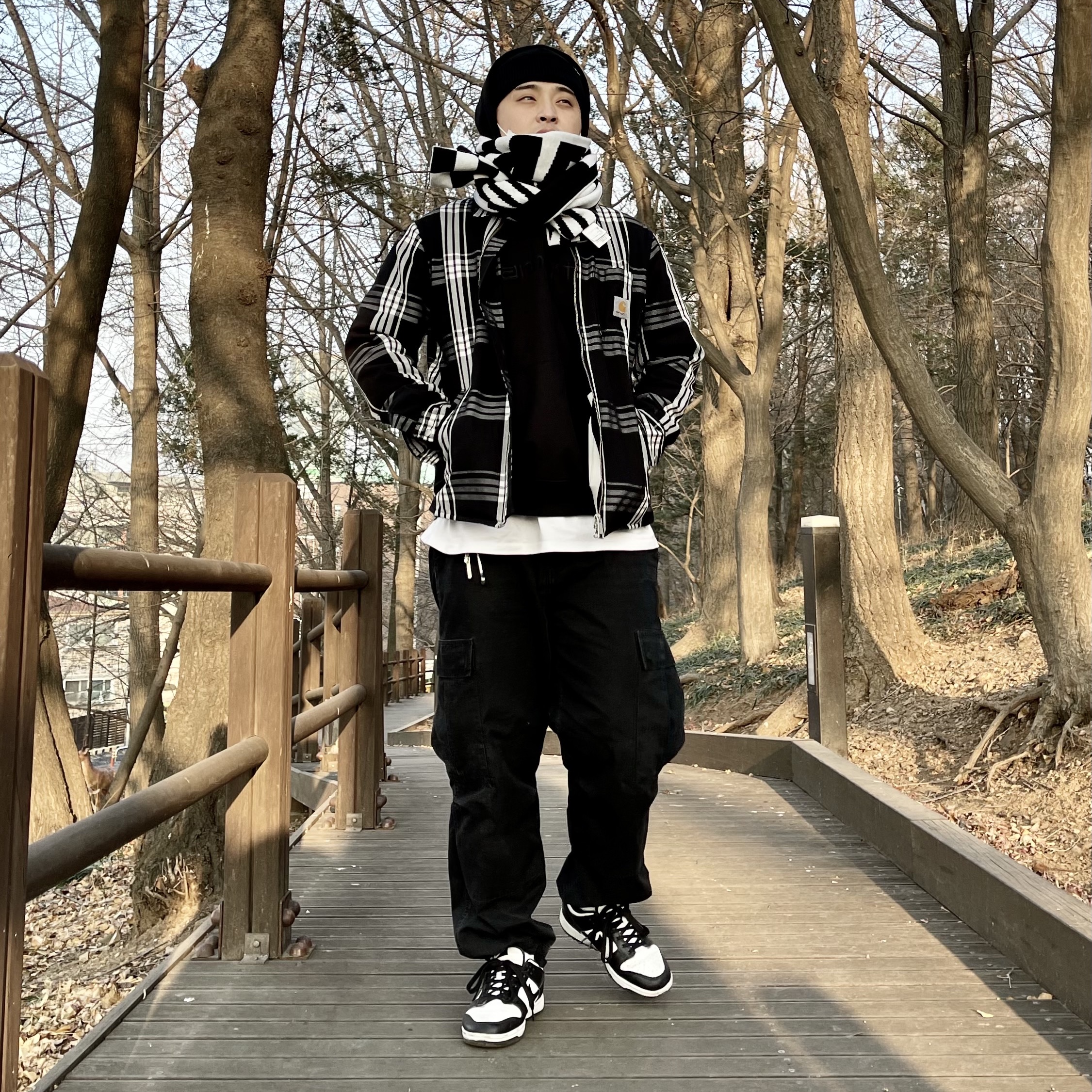Nike Dunk Low Retro Black, Carhartt WIP Columbia Ripstop Regular Cargo Pants Black 착용 스타일