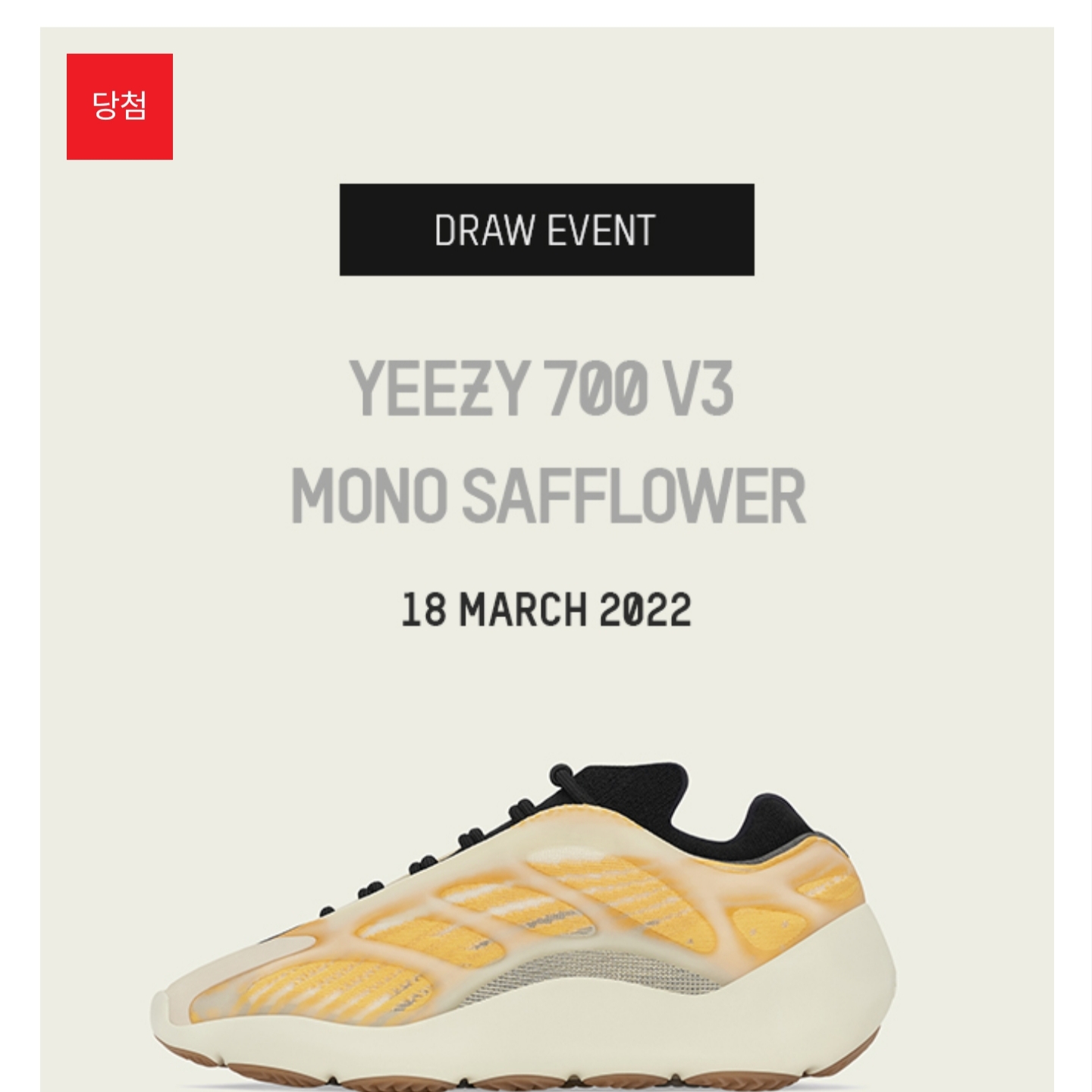 Adidas Yeezy 700 V3 Mono Safflower 착용 스타일