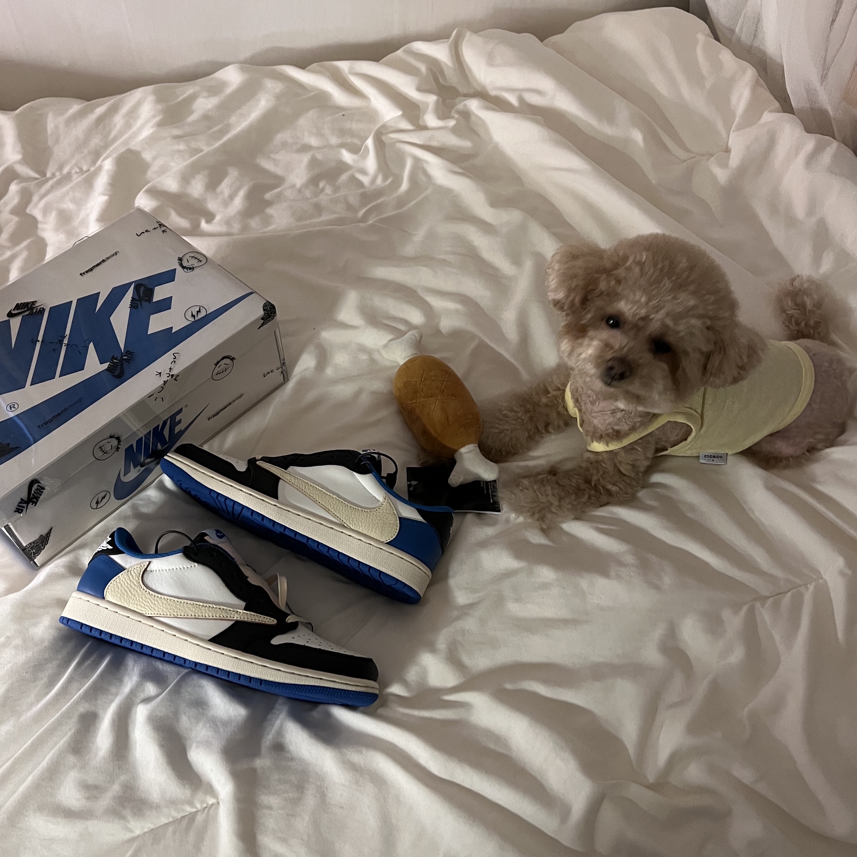 Jordan 1 x Travis Scott x Fragment Retro Low OG SP Military Blue 착용 스타일