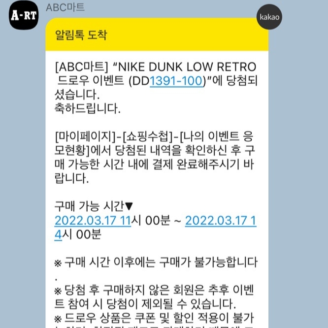 Nike Dunk Low Retro Black 착용 스타일