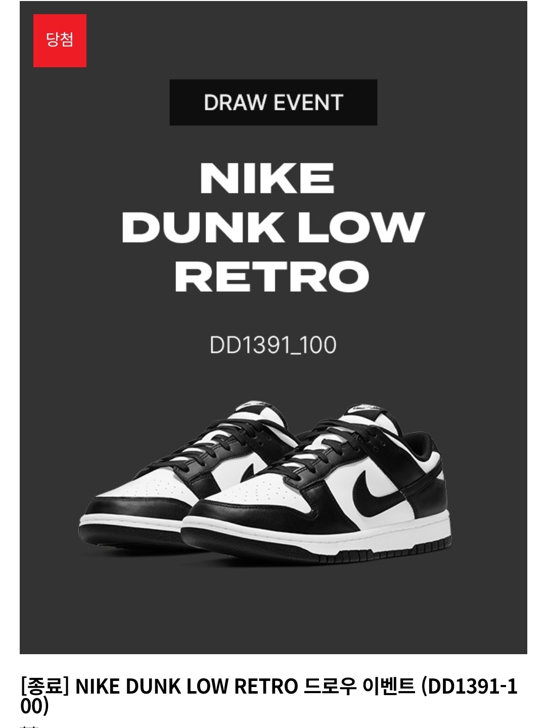 Nike Dunk Low Retro Black 착용 스타일